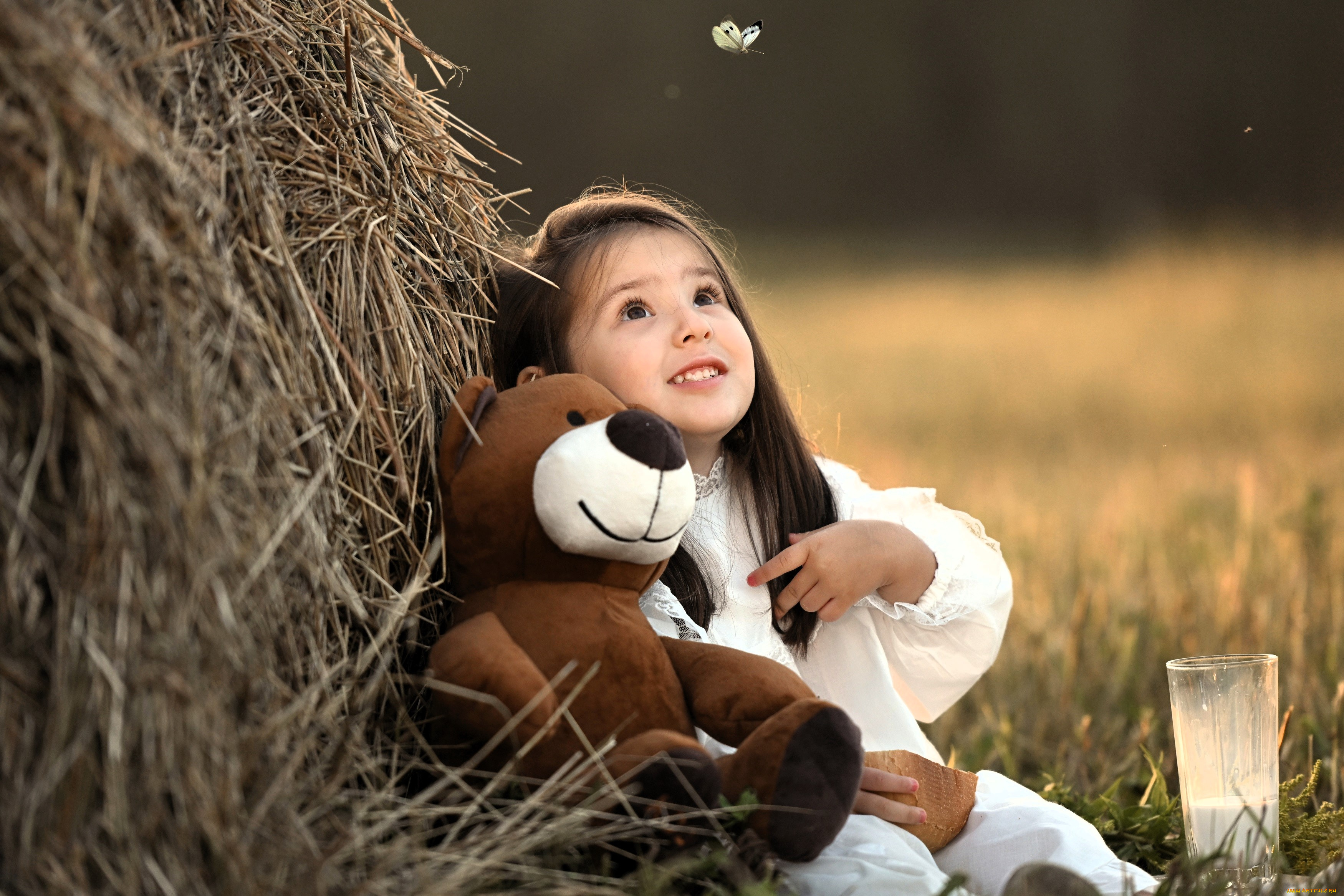 разное, дети, девочка, платье, стог, сено, бабочка, мишка, стакан