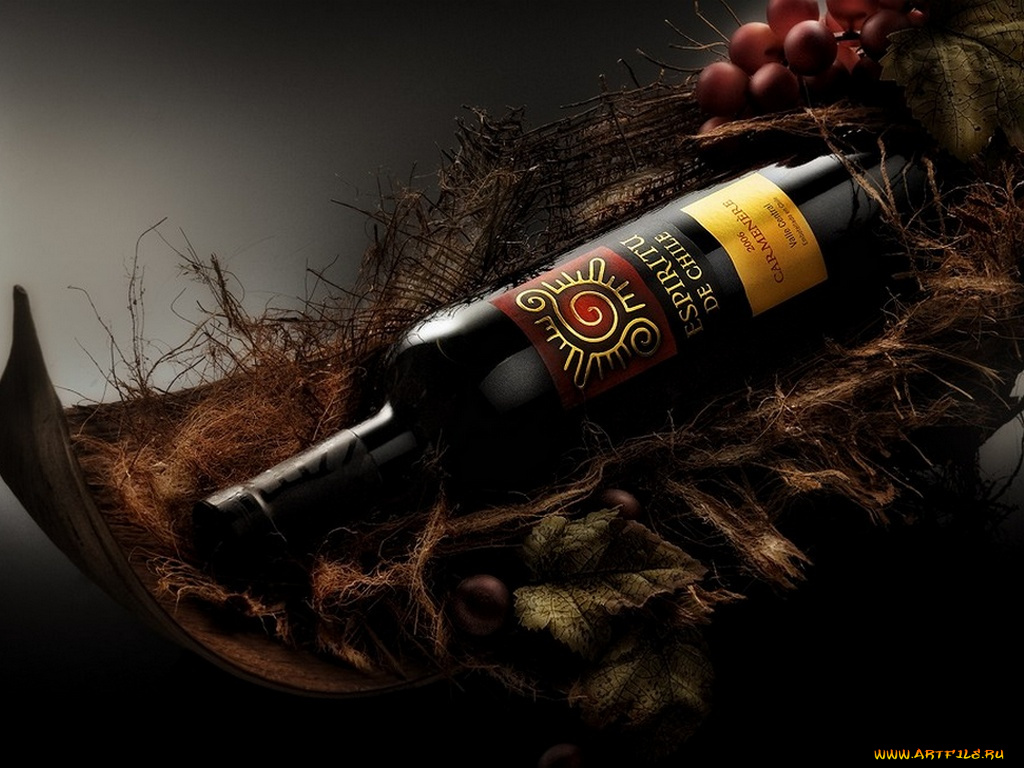 еда, натюрморт