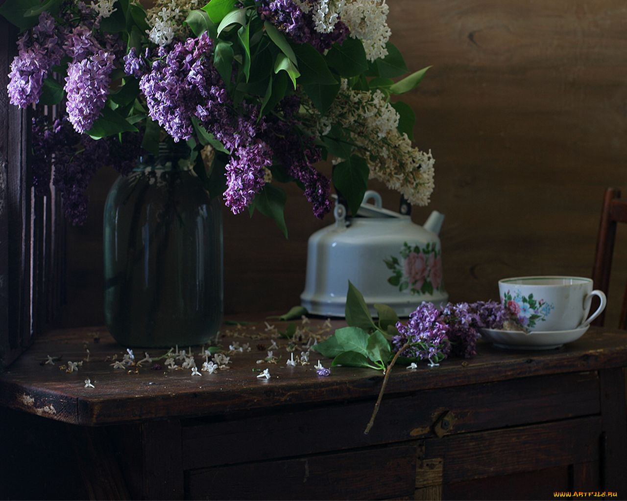 ира, быкова, цветы, сирень