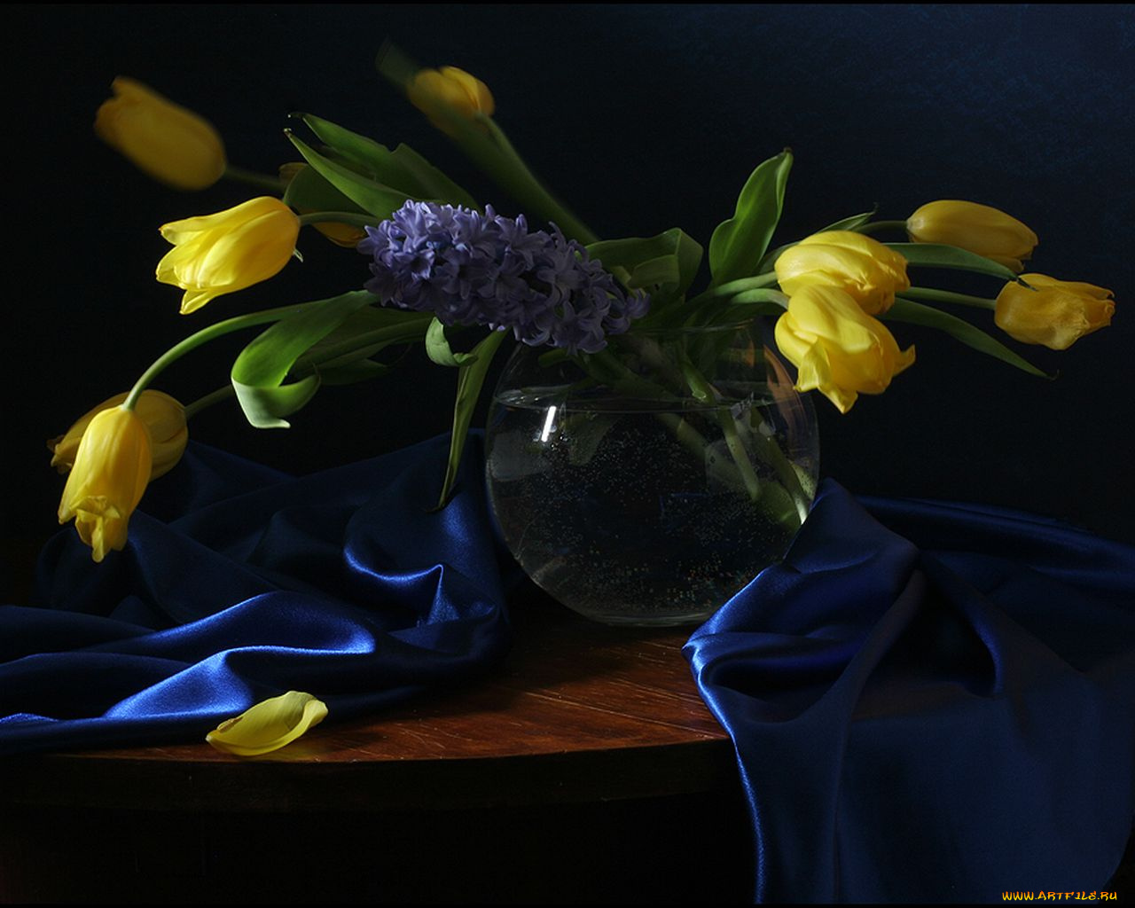 ира, быкова, цветы, тюльпаны