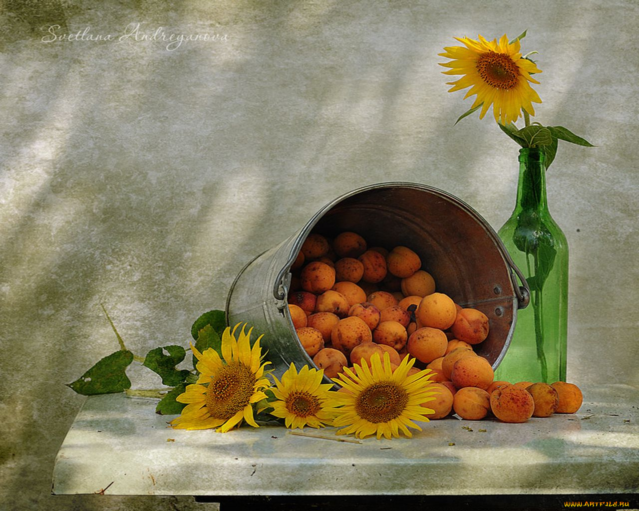 светлана, адриянова, еда, натюрморт