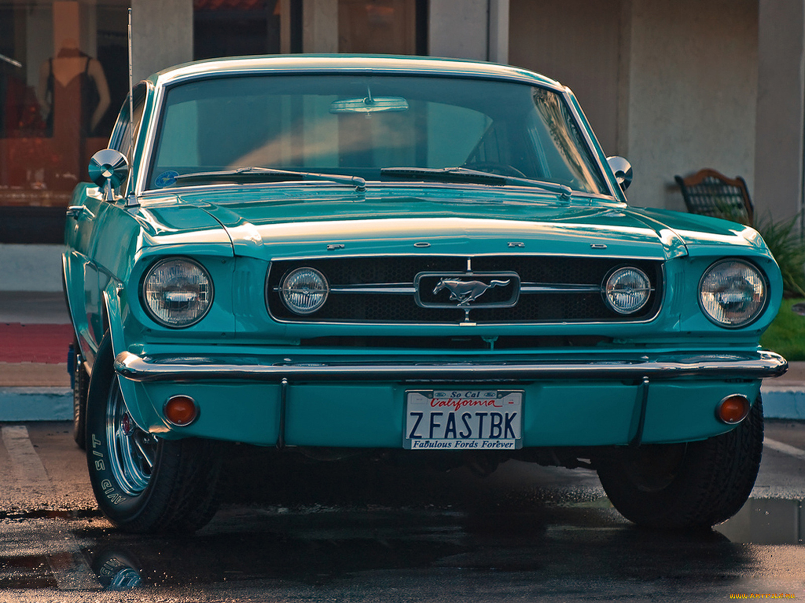 автомобили, mustang