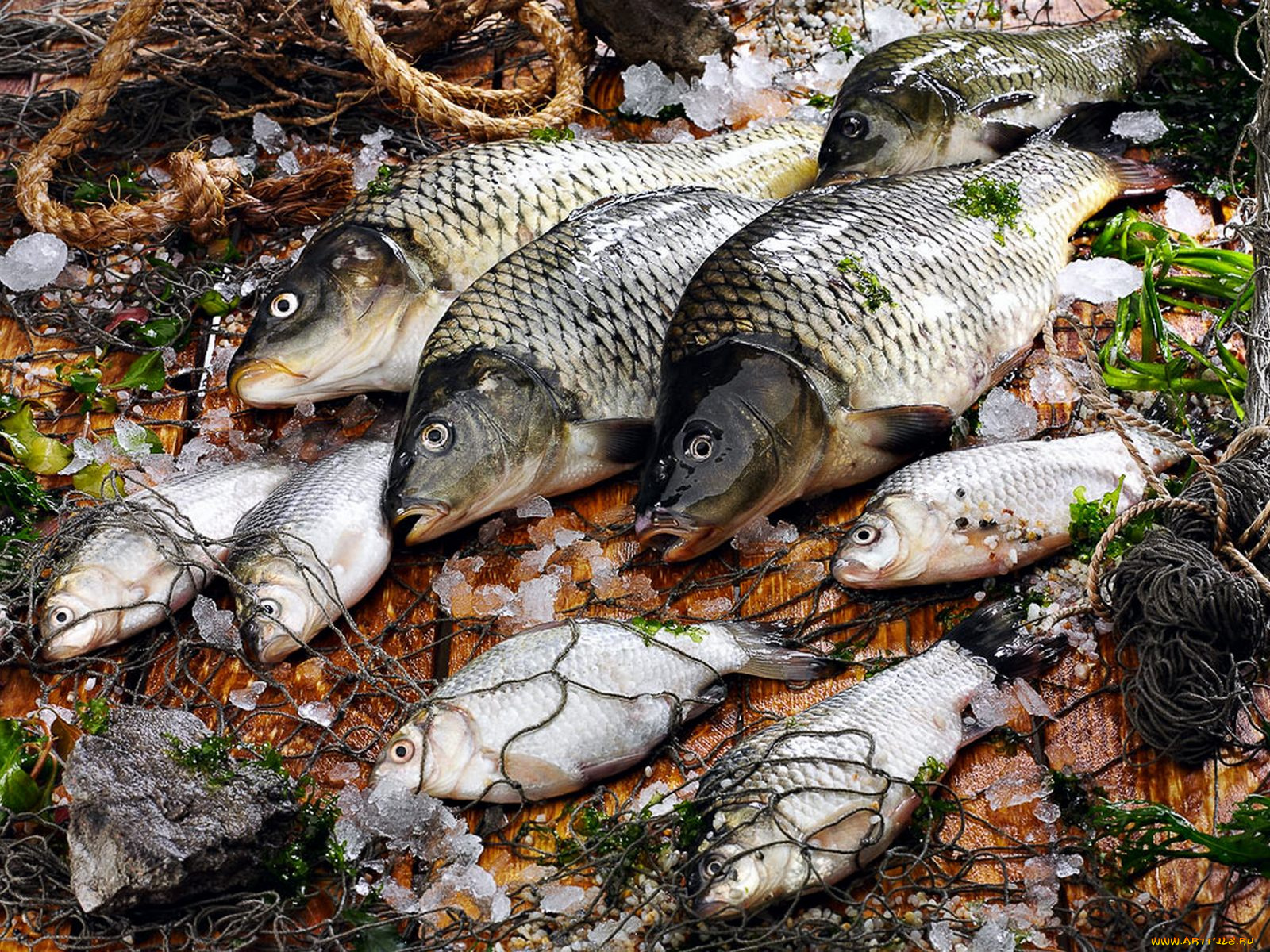 еда, рыба, морепродукты, суши, роллы