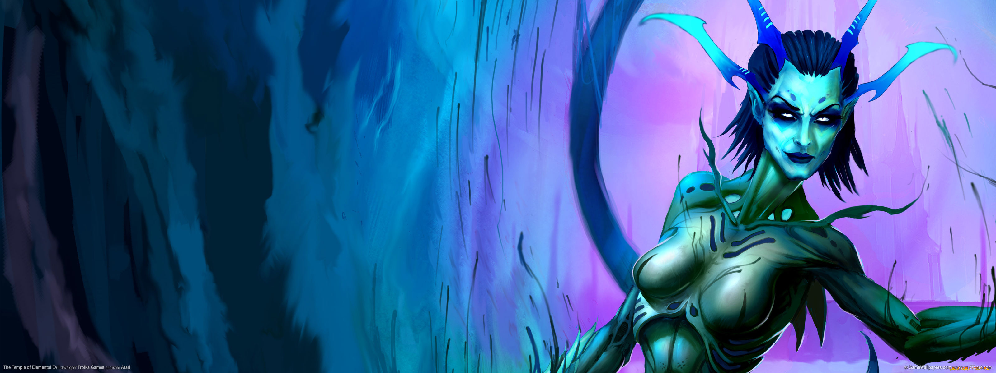 видео, игры, the, temple, of, elemental, evil