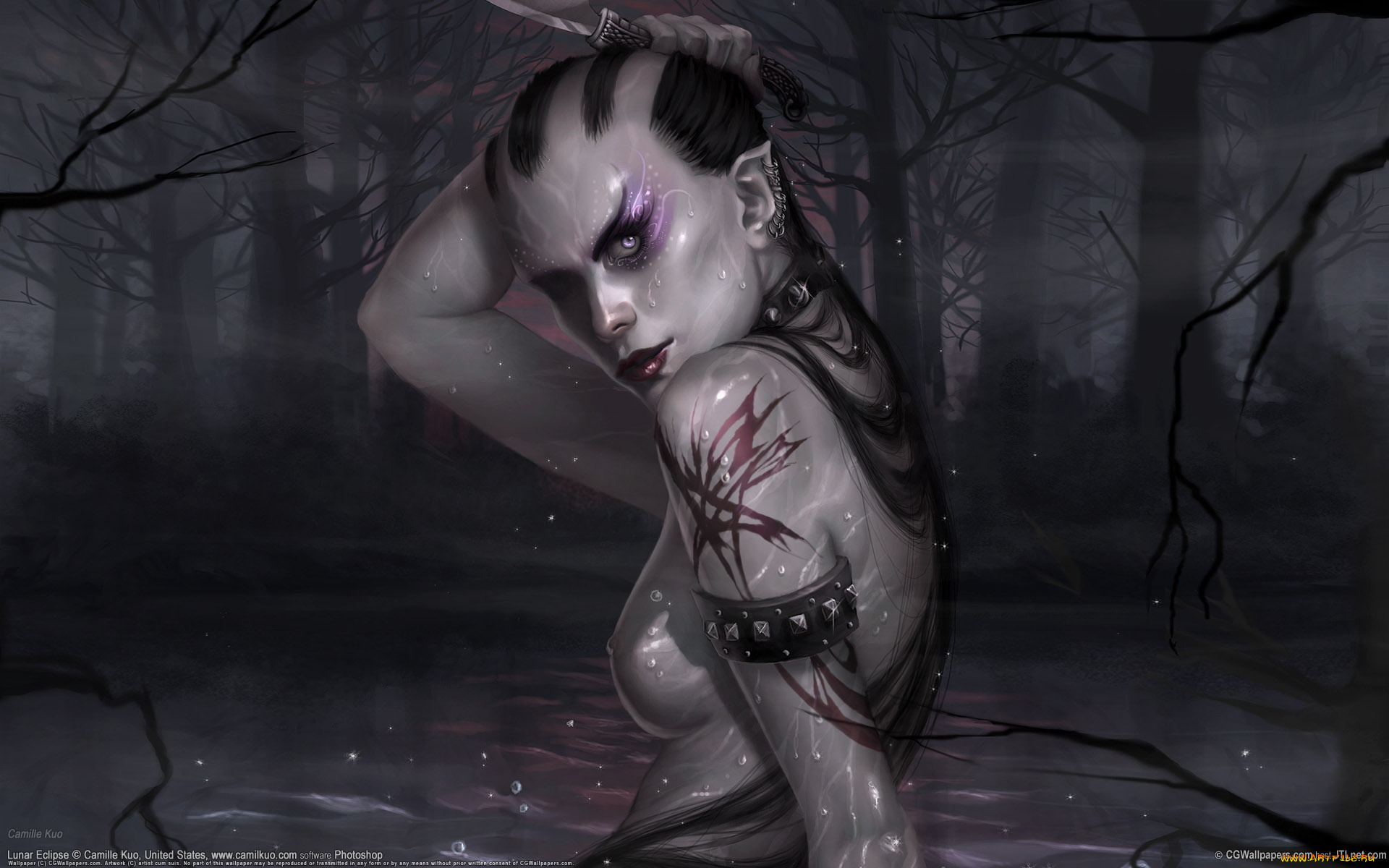 фэнтези, эльфы