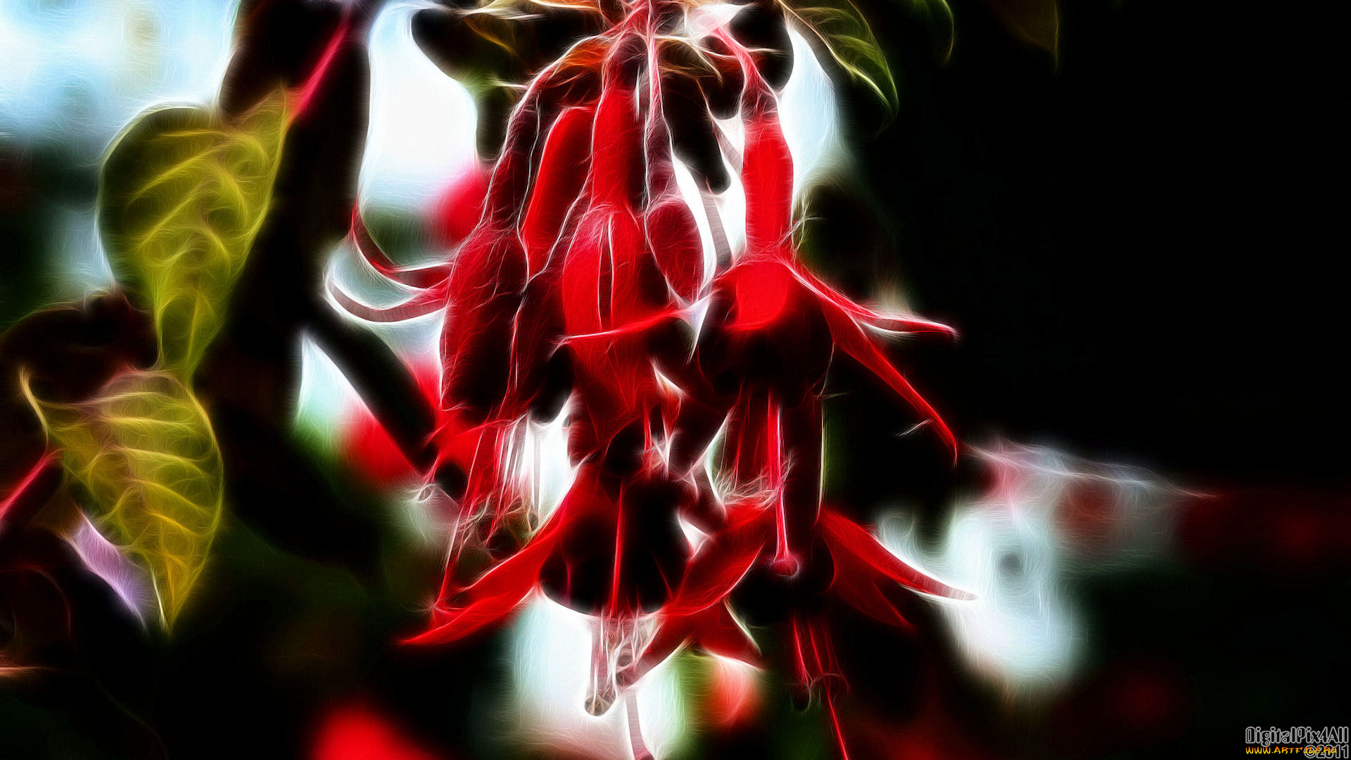 3д, графика, flowers, цветы, зелёный, красный, тёмный