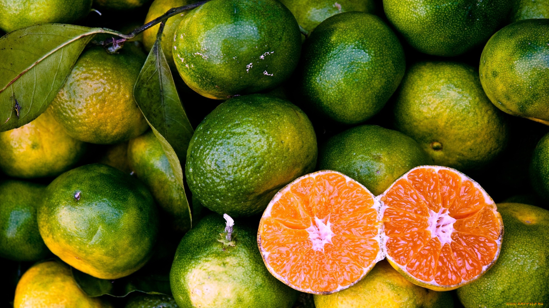 еда, цитрусы, зеленый, мандарины