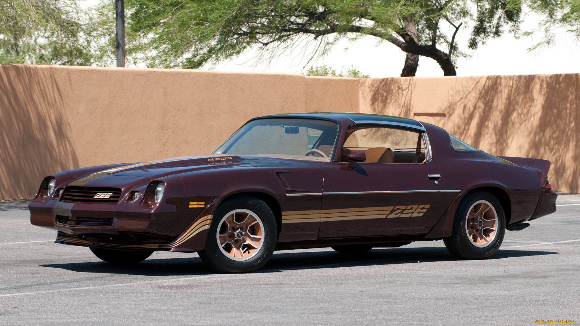 автомобили, camaro