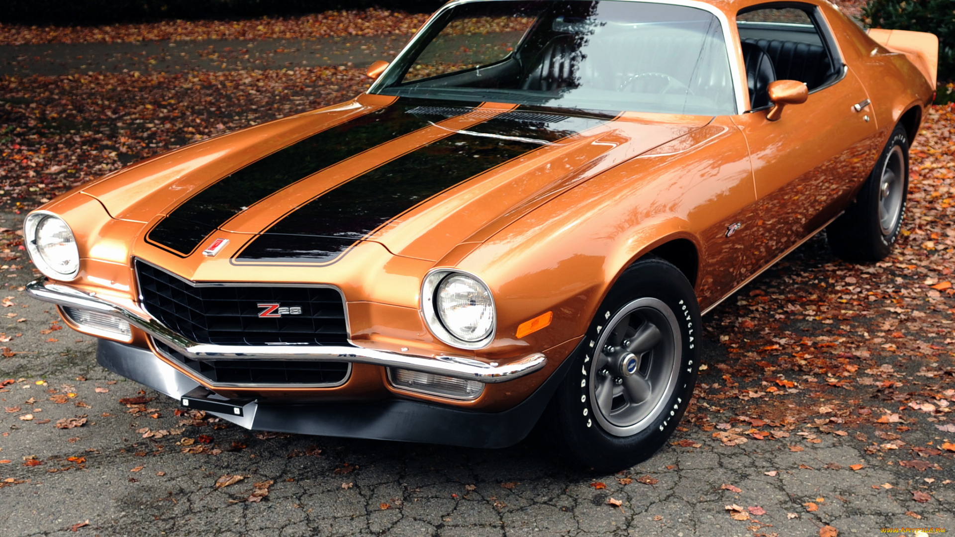 автомобили, camaro