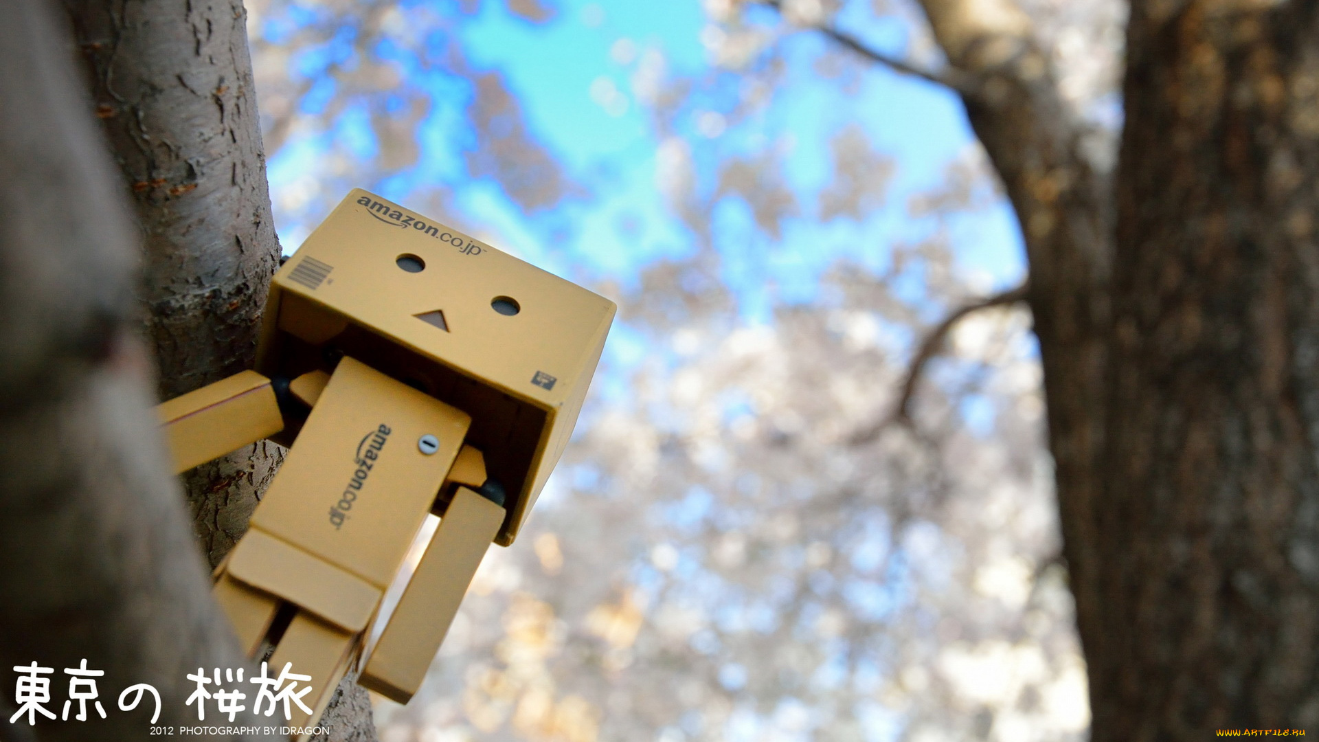 разное, данбо, danboard, коробочки, дерево