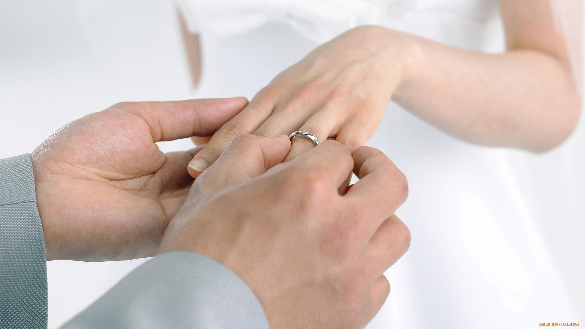 разное, руки, кольцо, свадьба