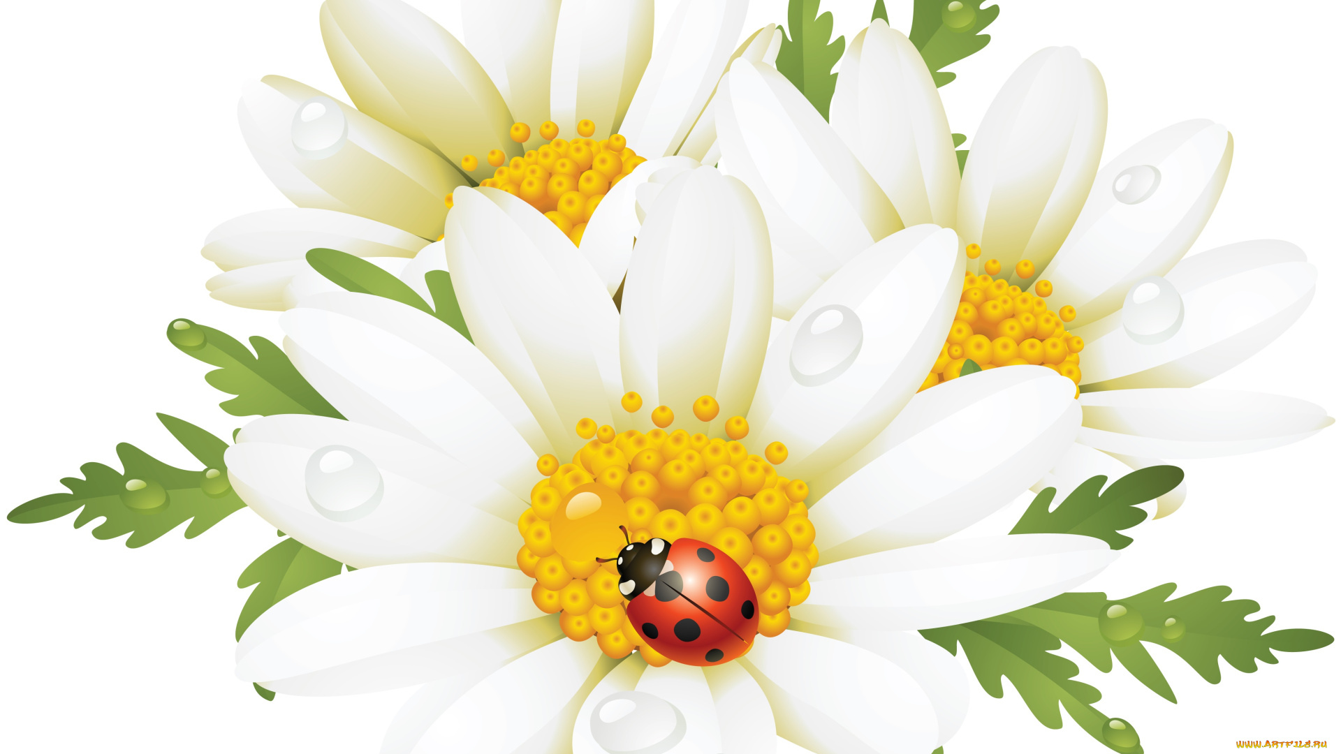 векторная, графика, цветы, листья, лепестки, фон, насекомое