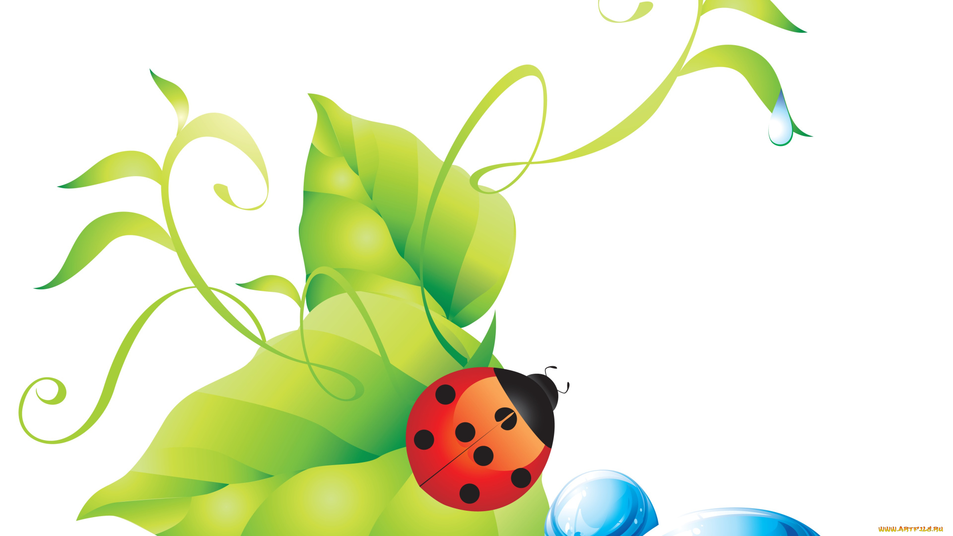 векторная, графика, животные, цветы, насекомое, листочки