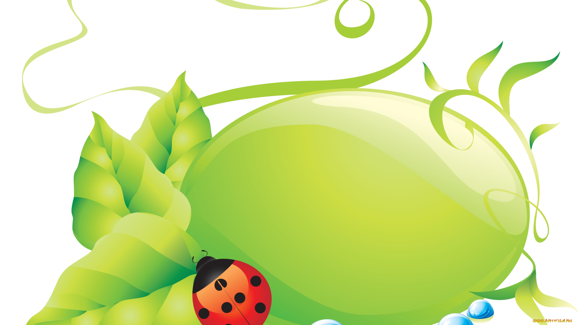 векторная, графика, животные, насекомое, цветы, листочки