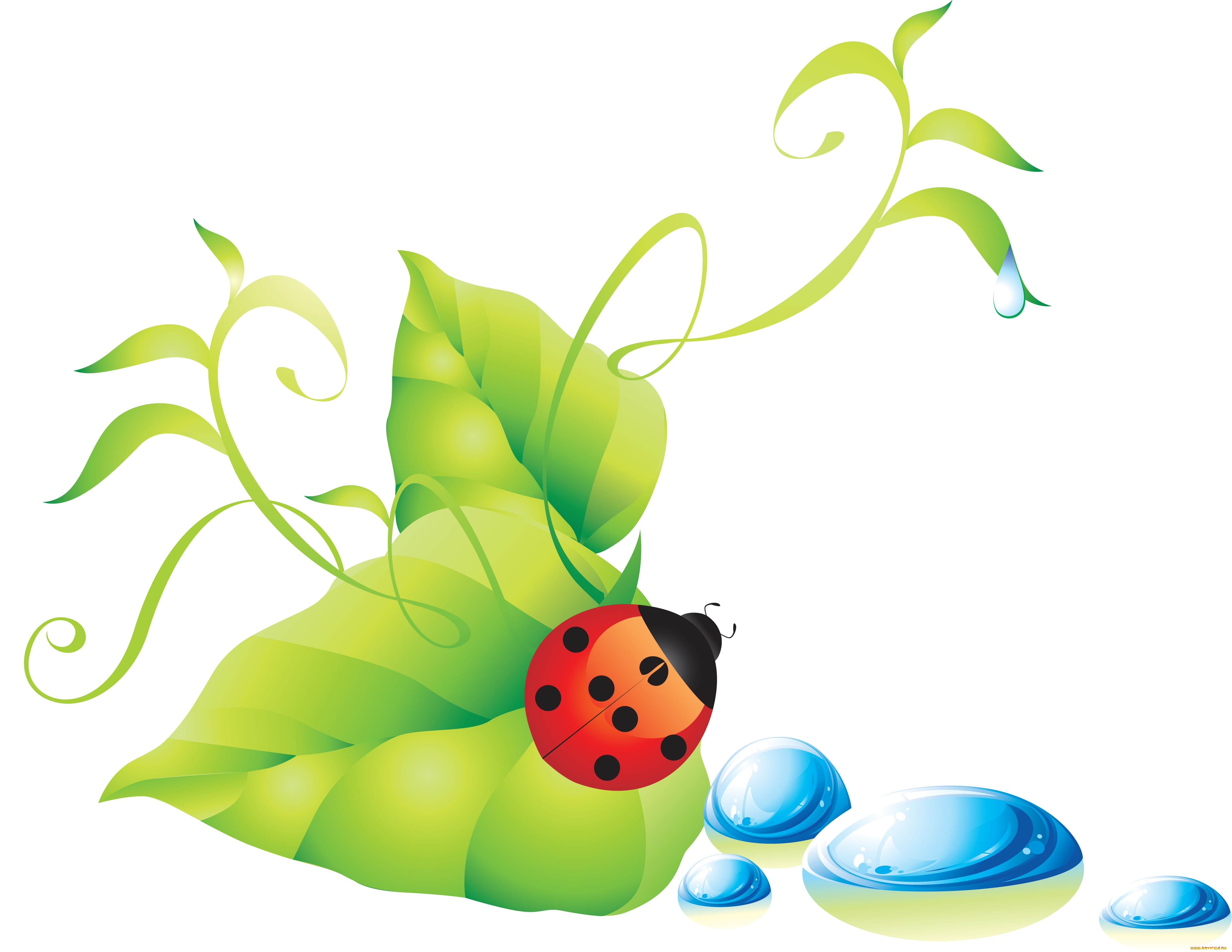 векторная, графика, животные, цветы, насекомое, листочки