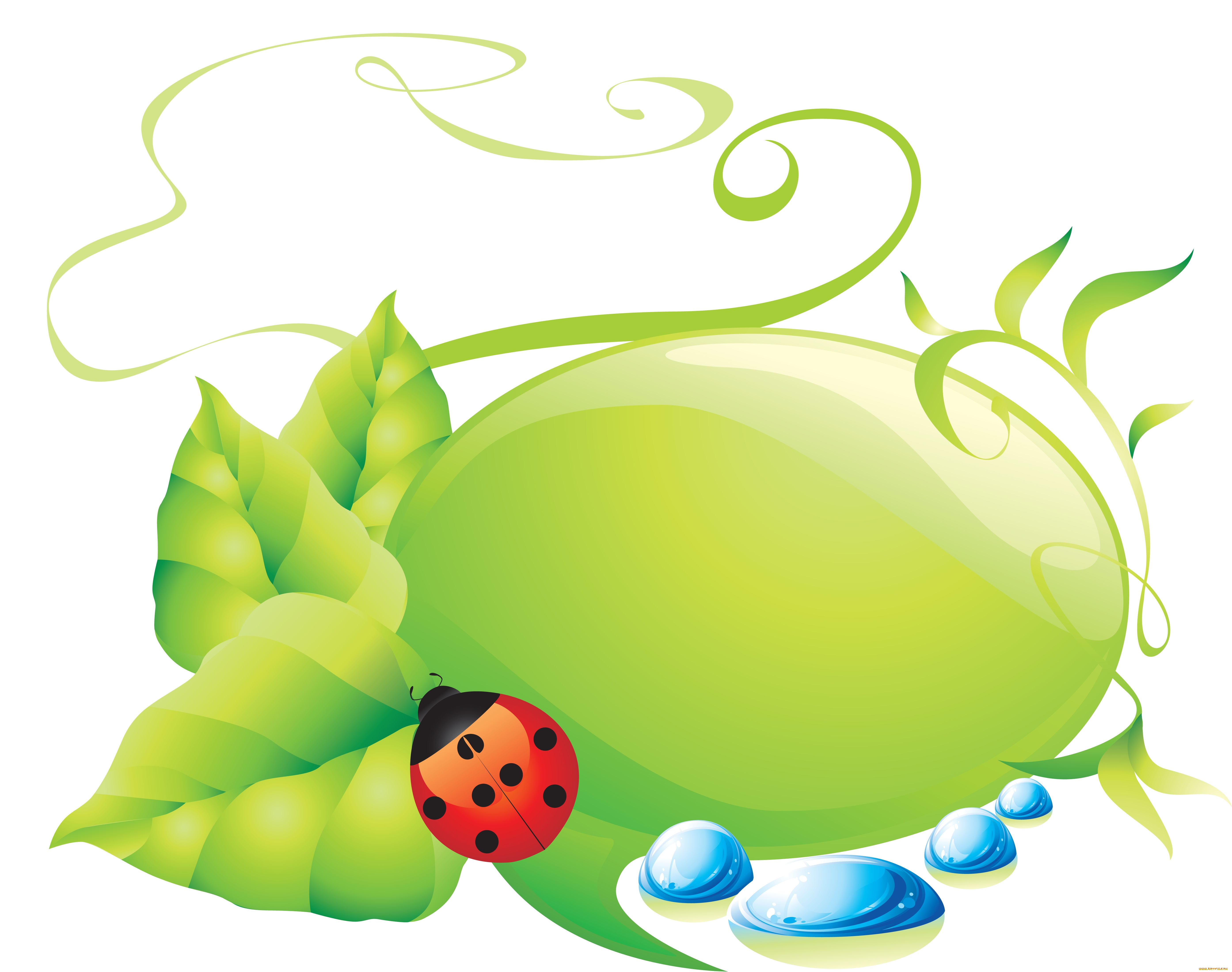 векторная, графика, животные, насекомое, цветы, листочки