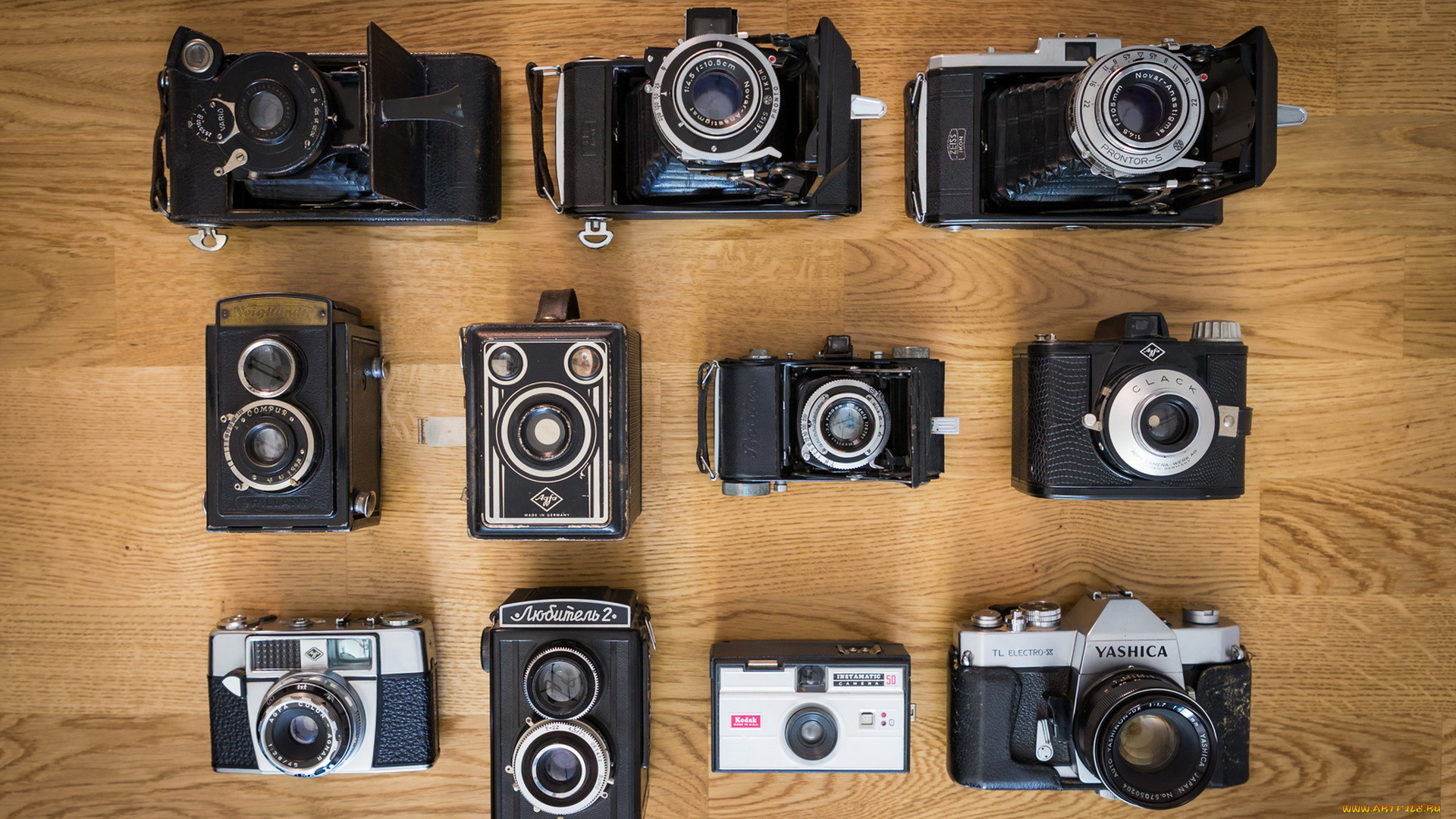 бренды, бренды, фотоаппаратов, , разное, фон, камеры, макро