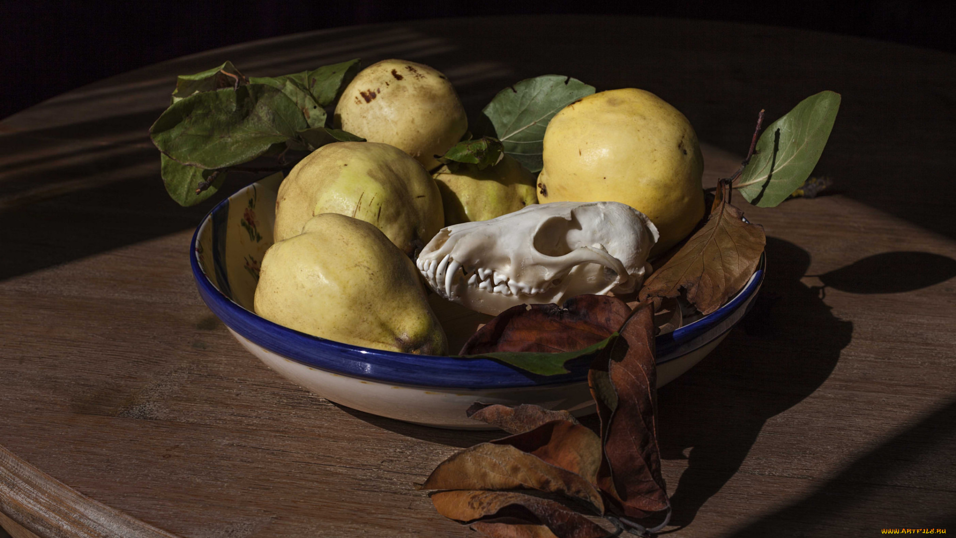 еда, груши, плоды