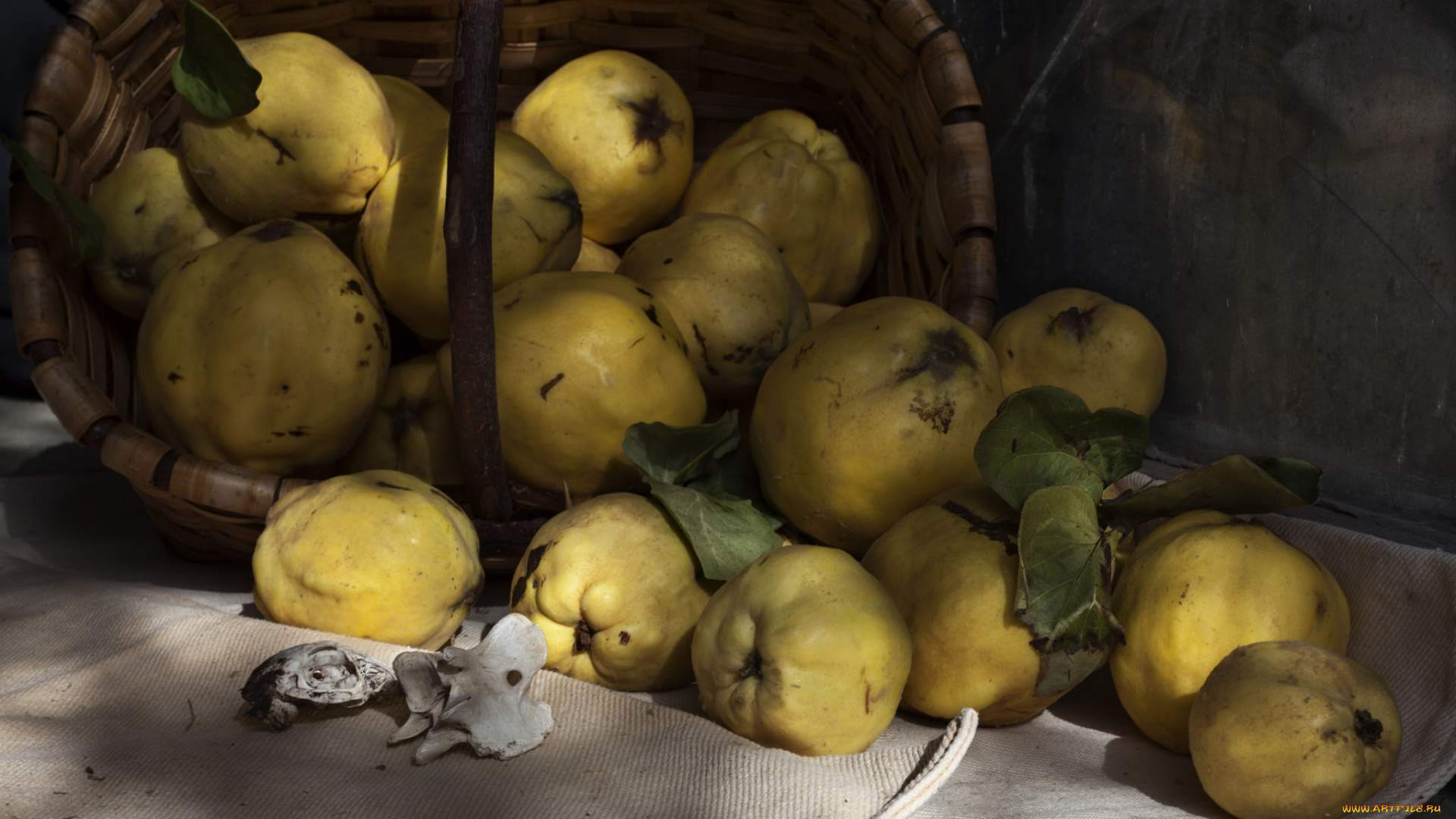 еда, груши, плоды