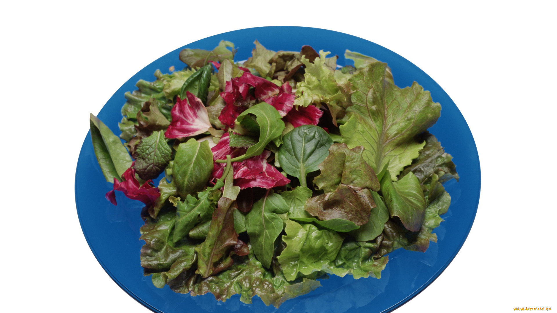 еда, салаты, , закуски, тарелка, листья, салат, руккола