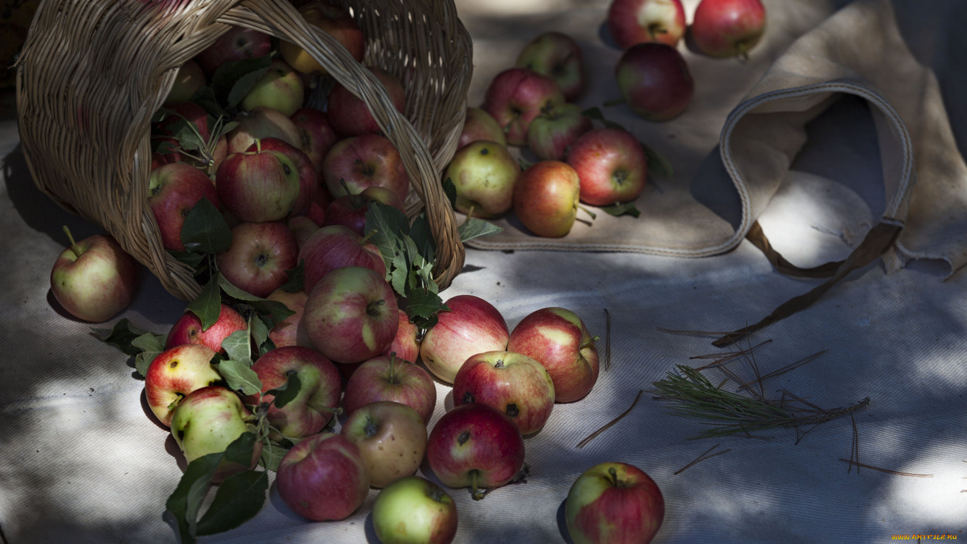 еда, Яблоки, яблочки