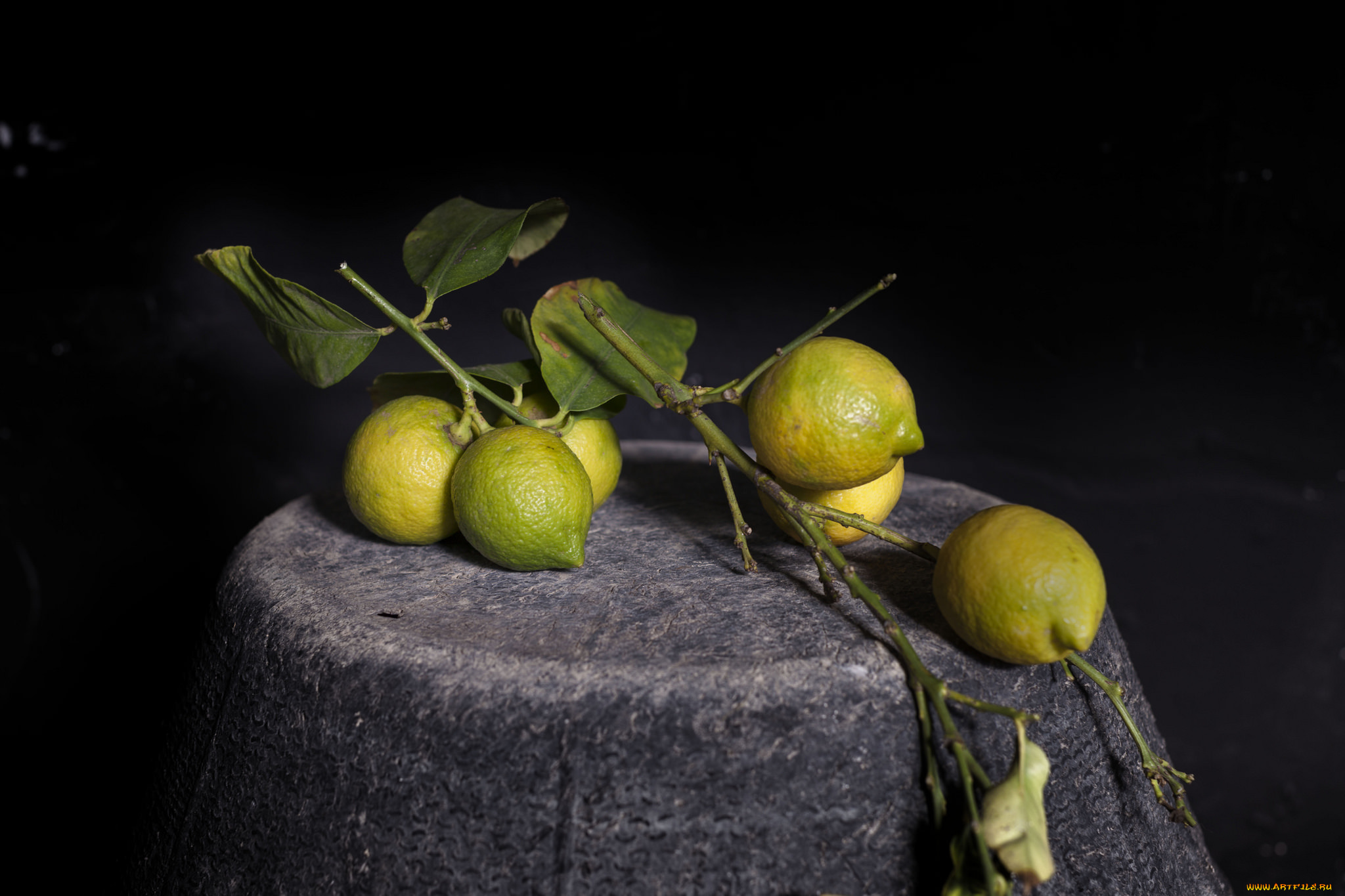 еда, цитрусы, лимоны