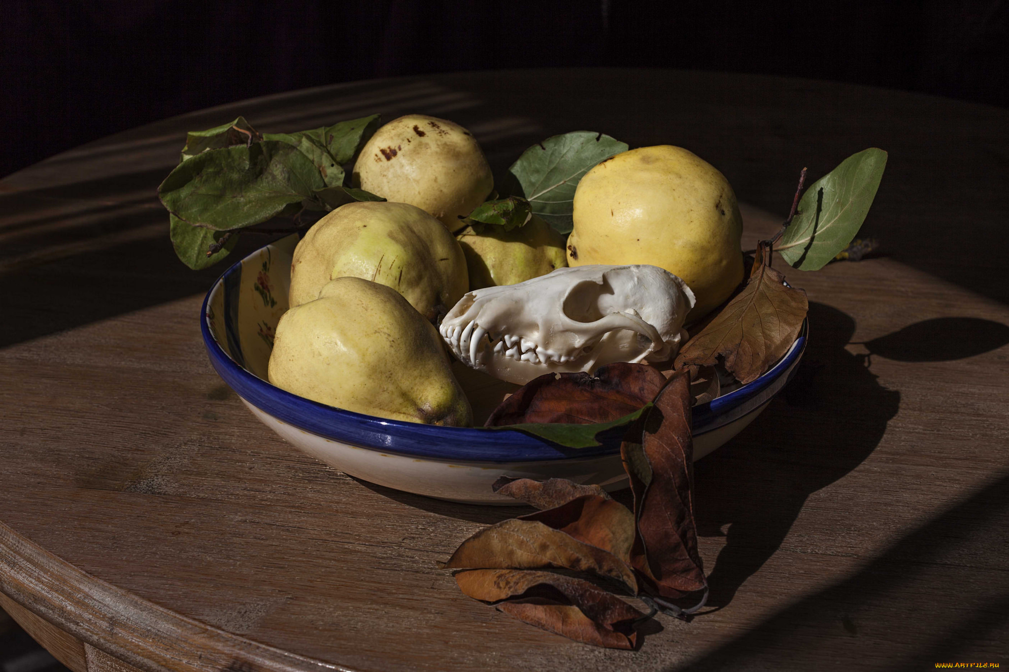 еда, груши, плоды