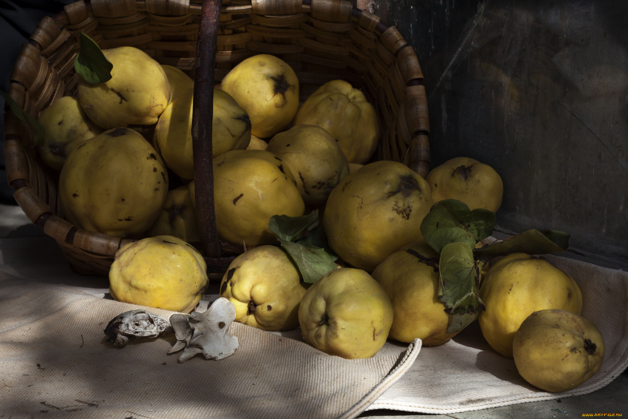 еда, груши, плоды