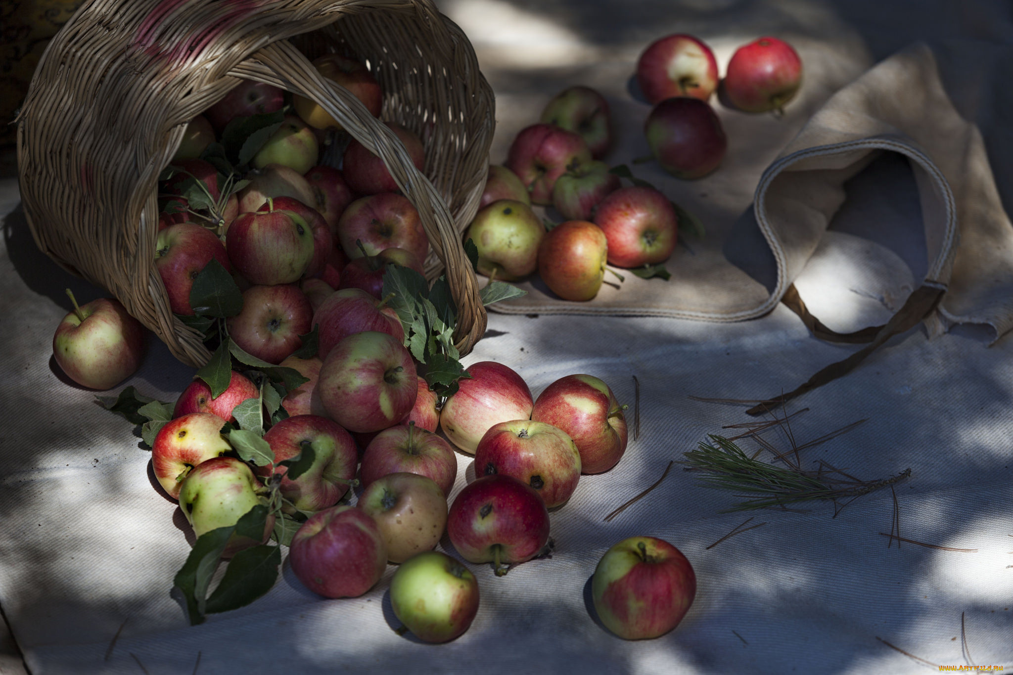 еда, Яблоки, яблочки