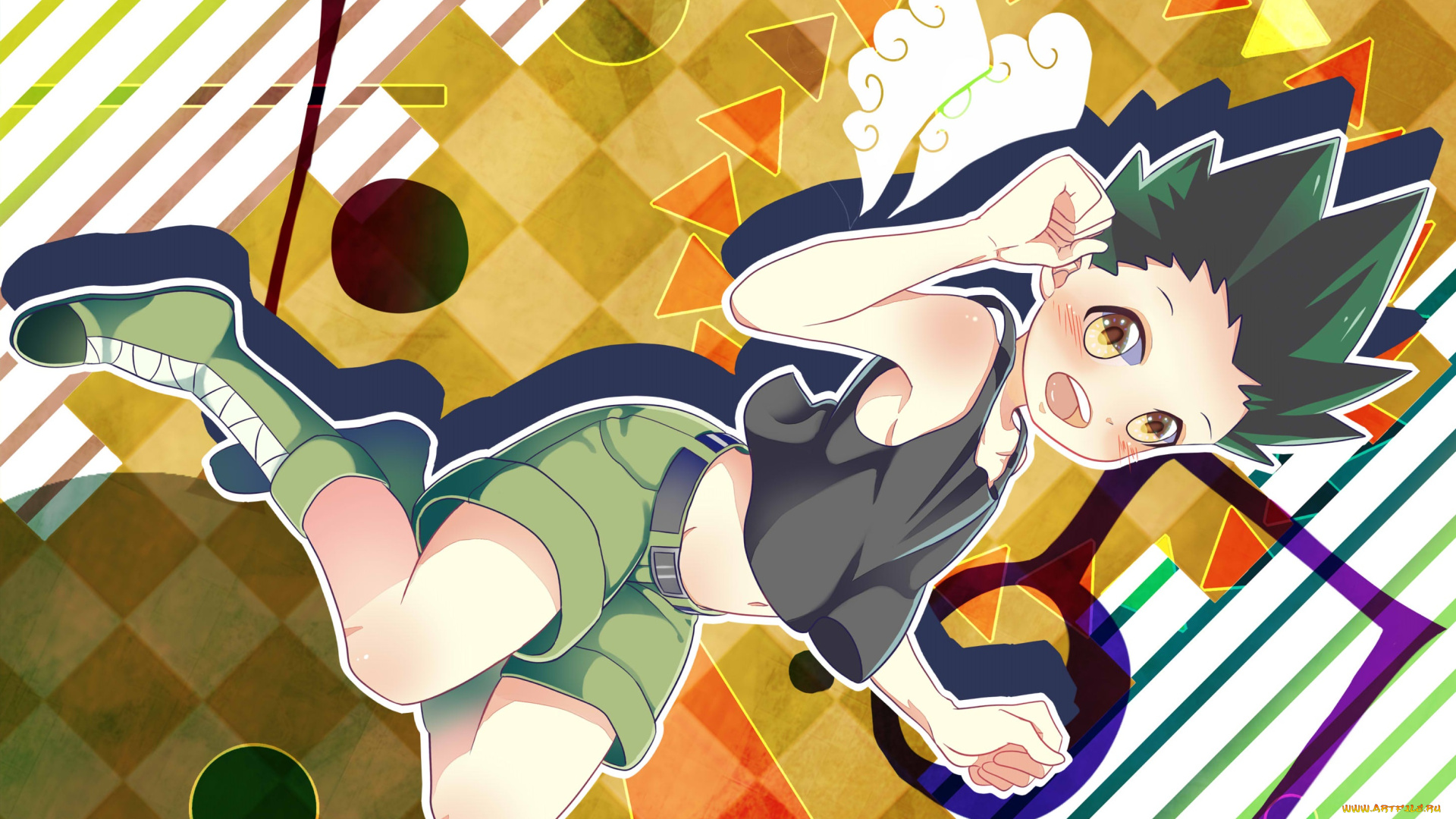 аниме, hunter, x, hunter, gon, freaks