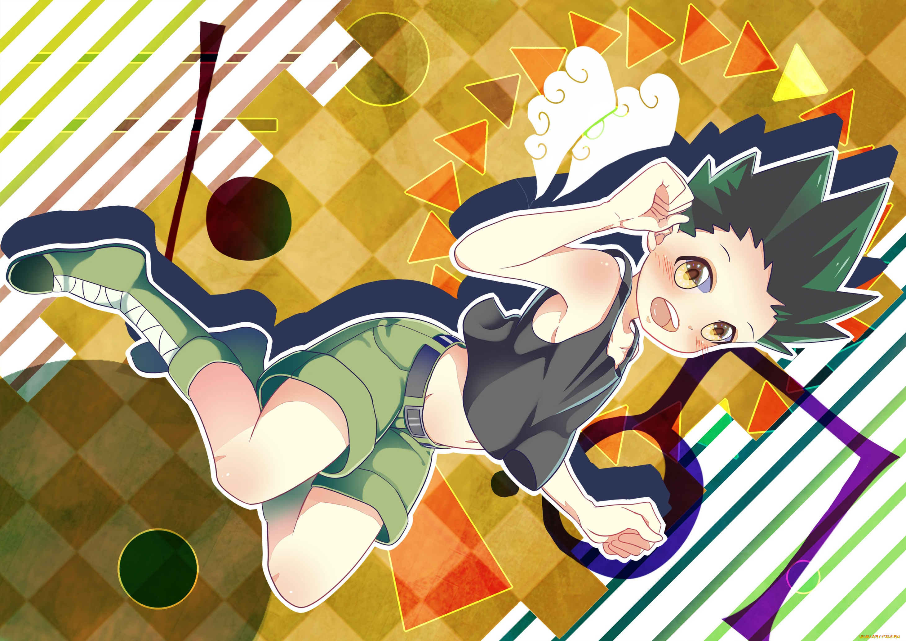 аниме, hunter, x, hunter, gon, freaks