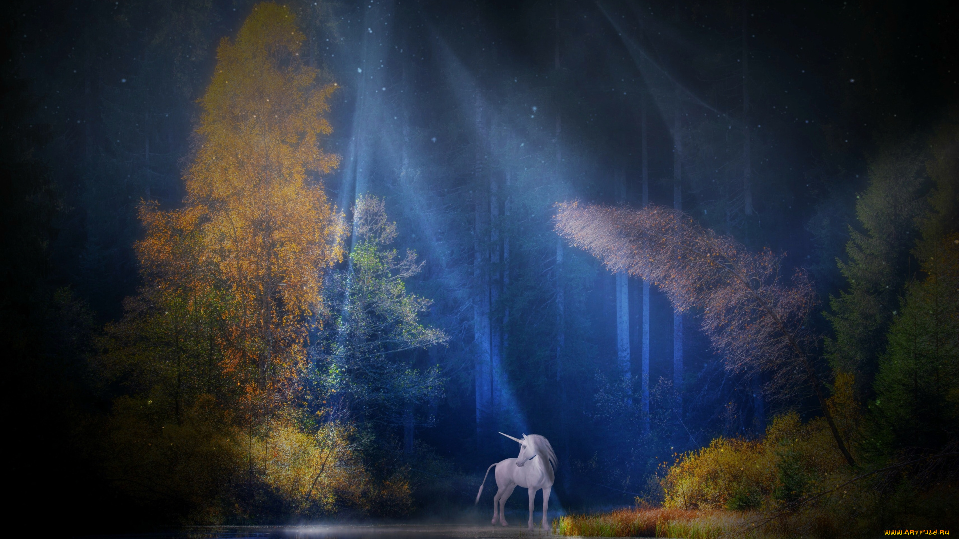 фэнтези, единороги, единорог