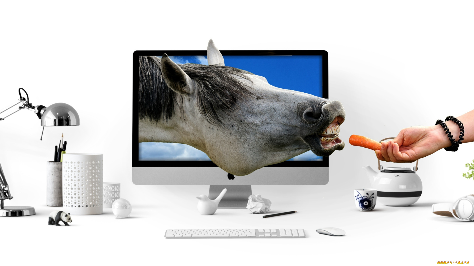 юмор, и, приколы, монитор, лошадь