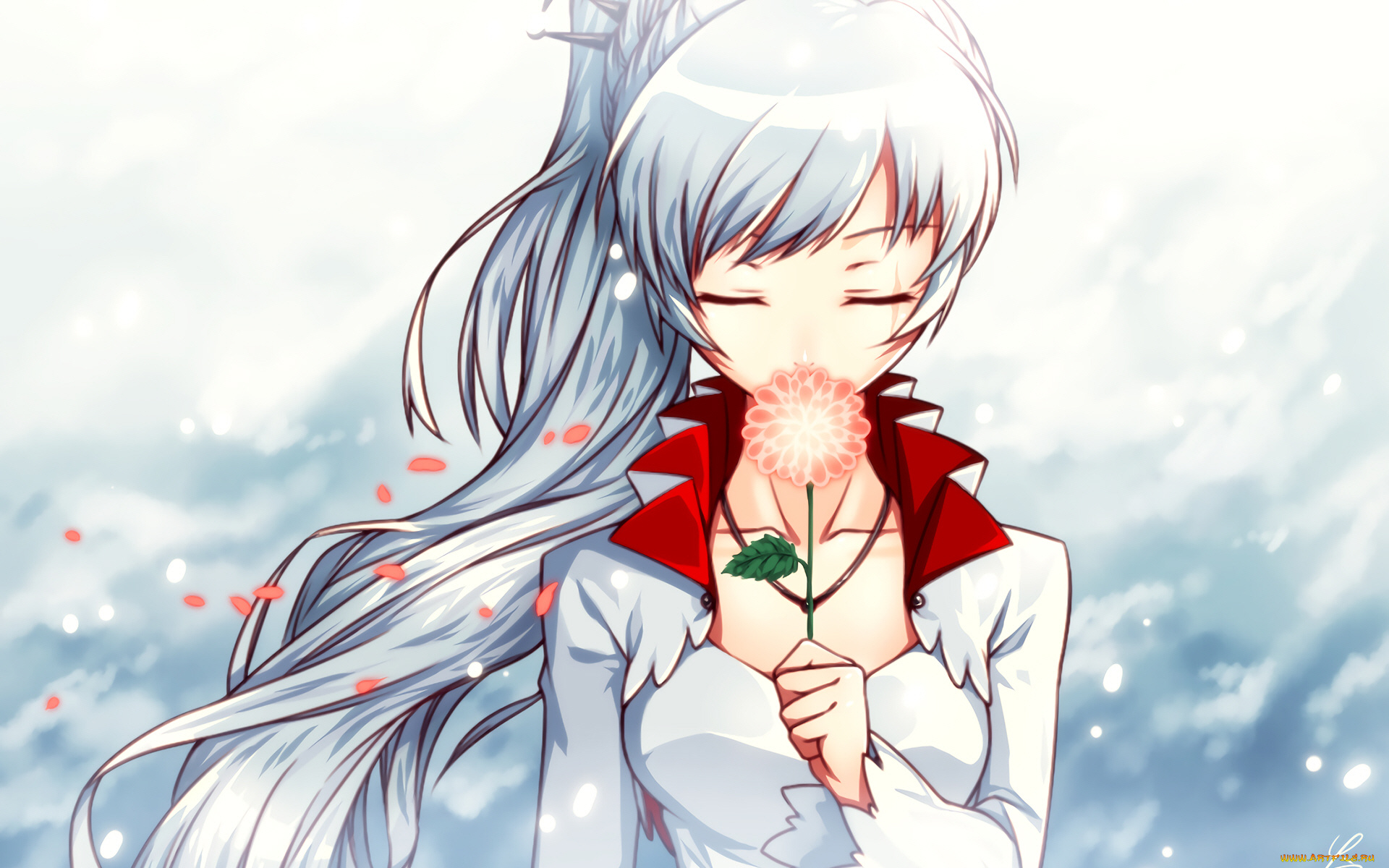 аниме, rwby, девушка