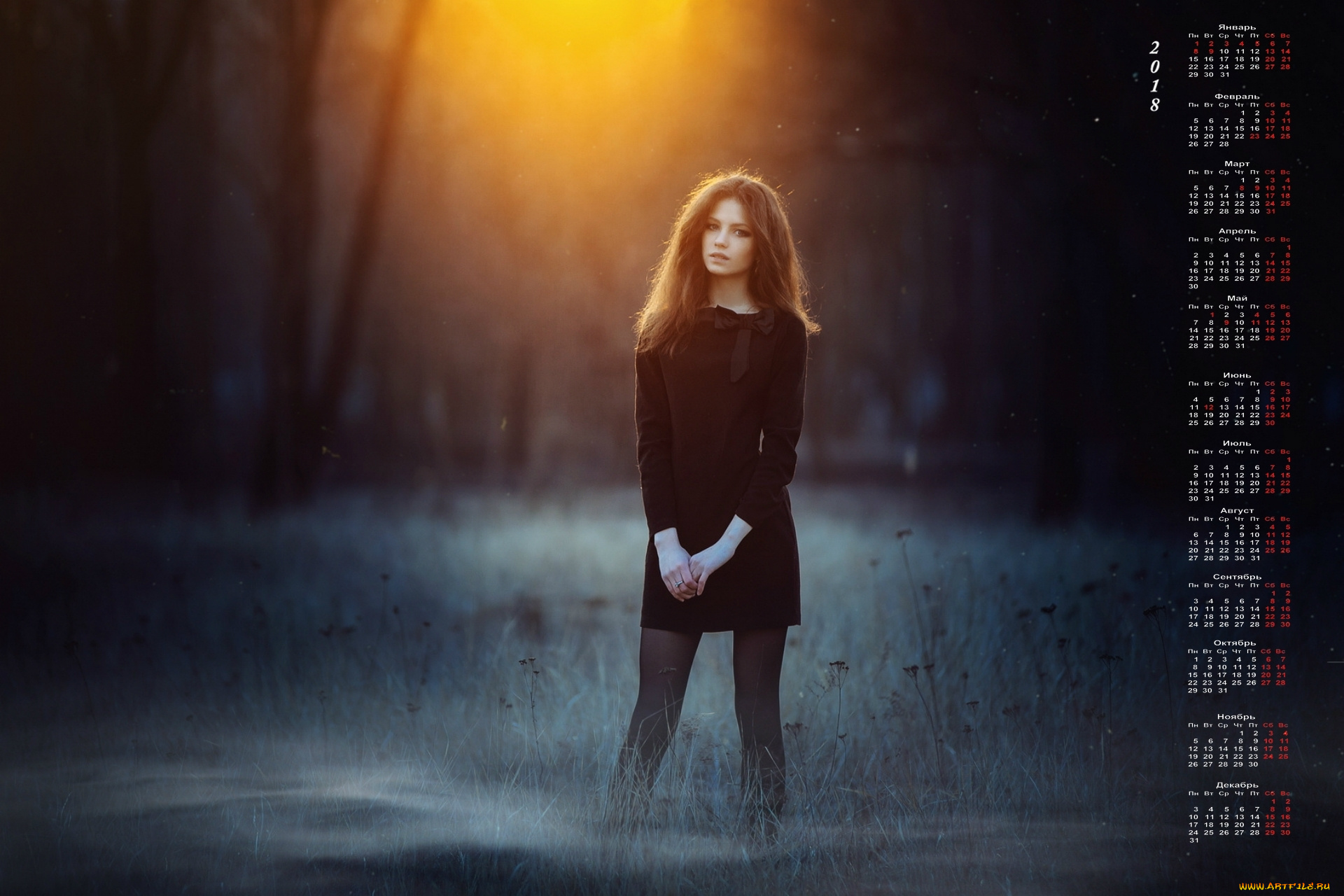 календари, девушки, взгляд, закат, природа