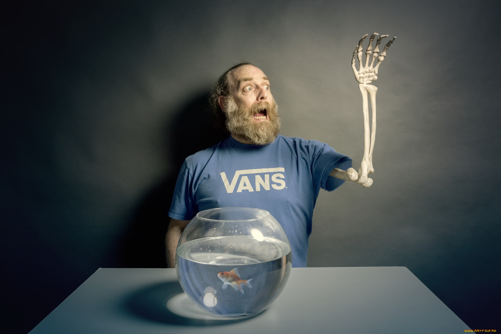 юмор, и, приколы, рука, рыбка, человек