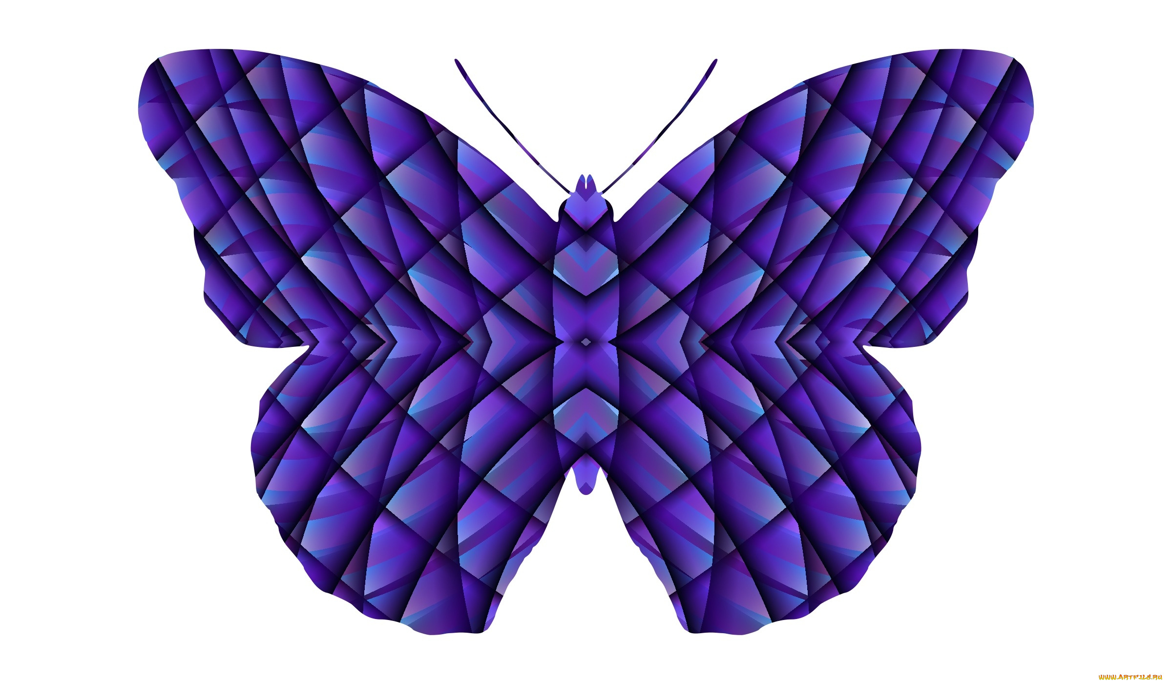 векторная, графика, животные, , animals, бабочка, фон