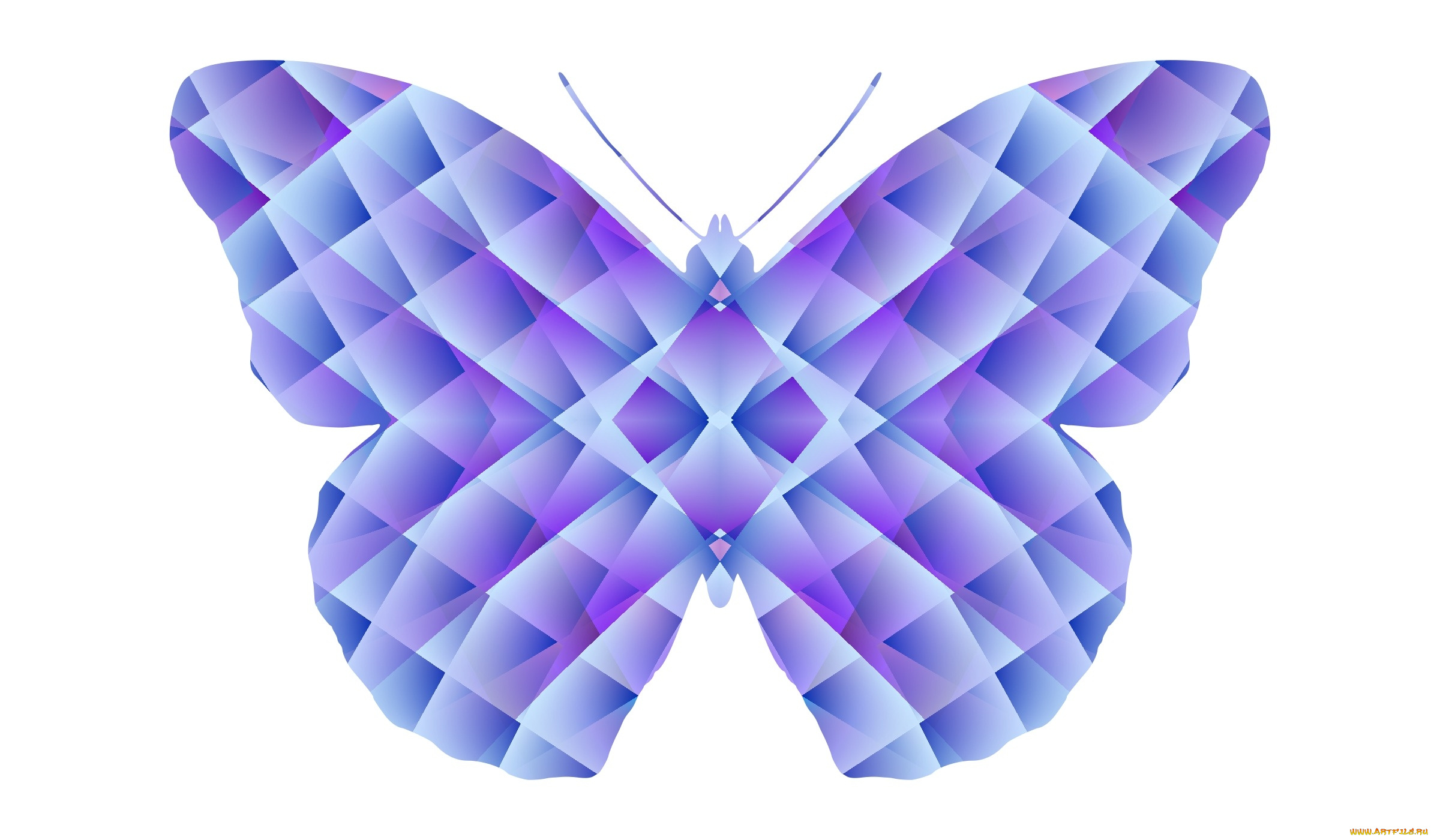 векторная, графика, животные, , animals, фон, бабочка