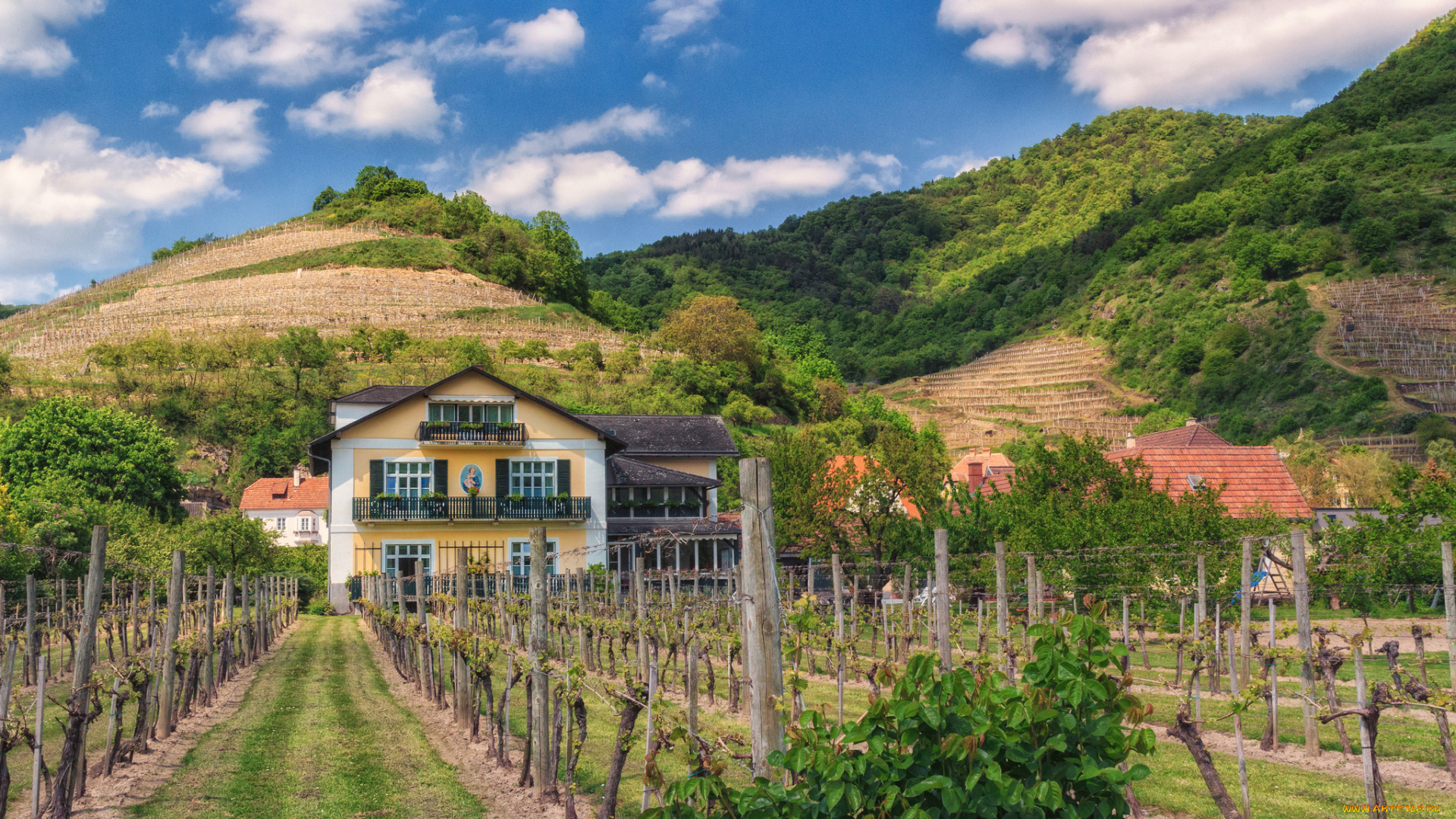 города, -, пейзажи, простор