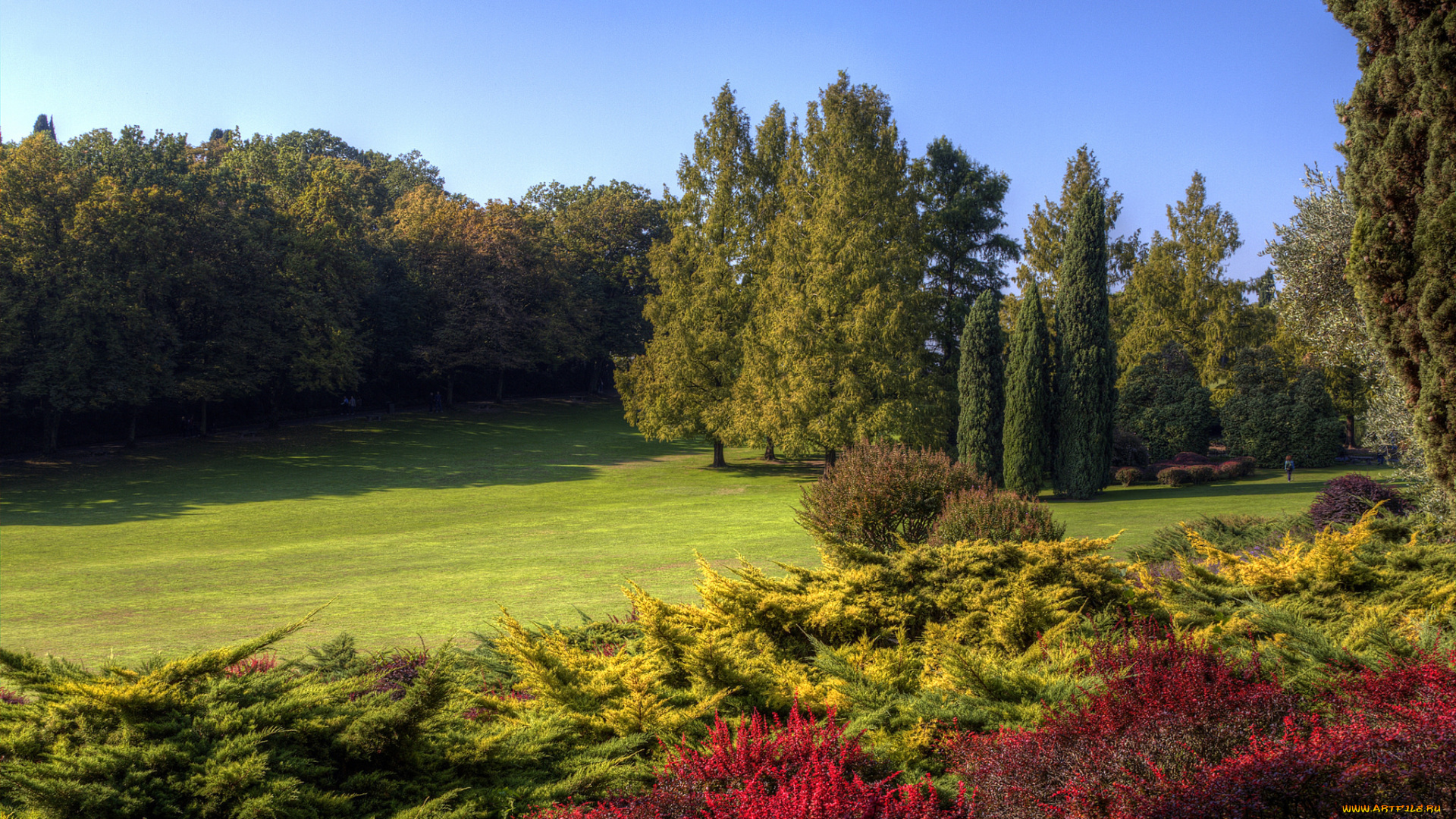 природа, пейзажи, простор