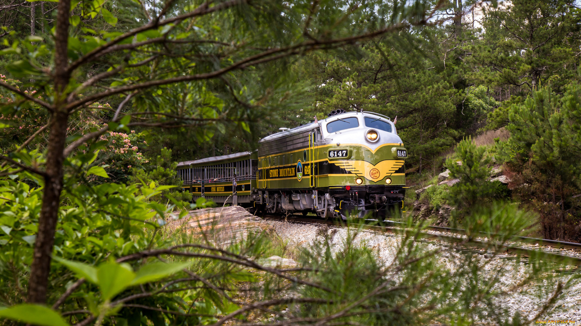 техника, поезда, локомотив, состав