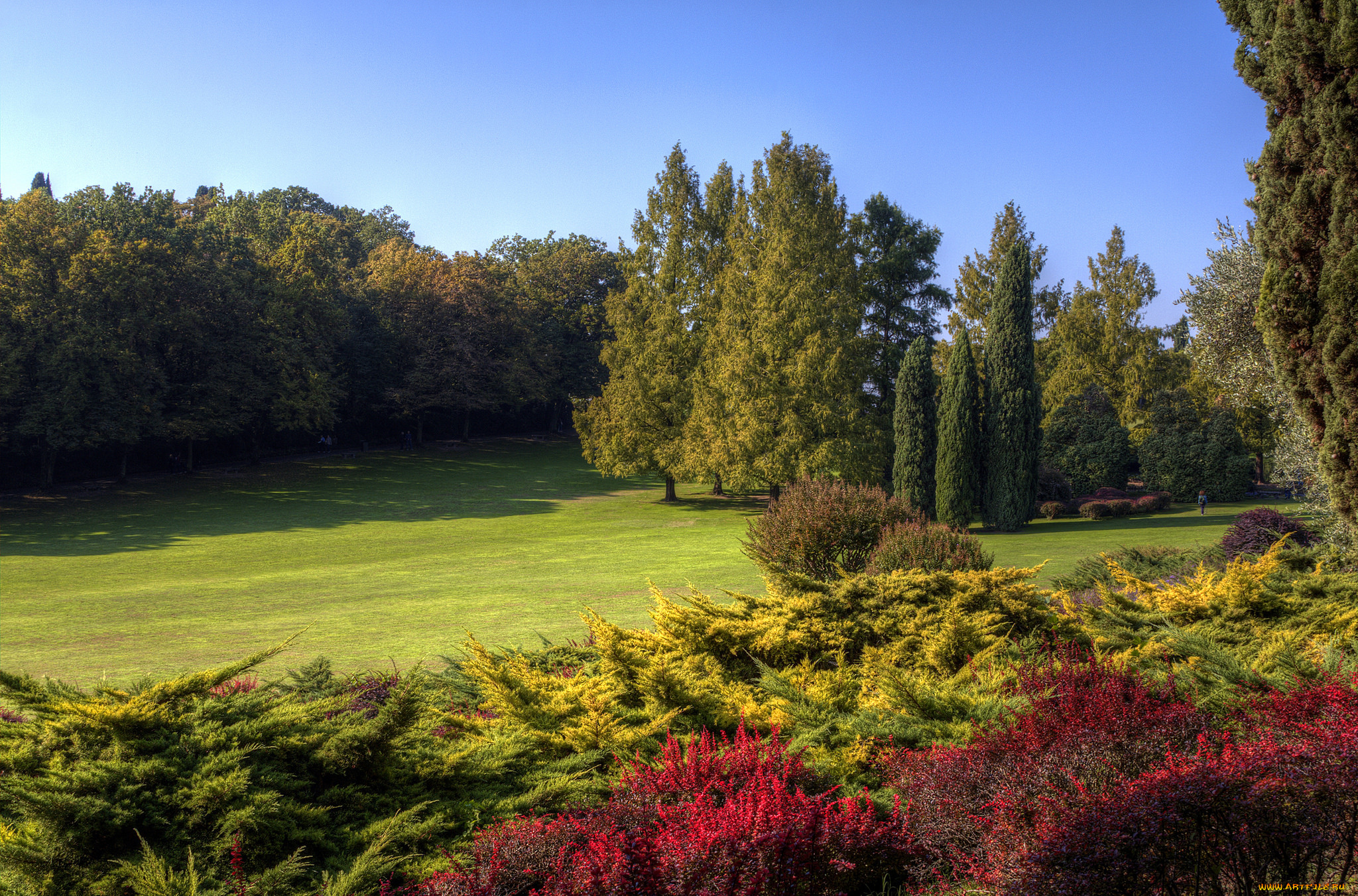 природа, пейзажи, простор