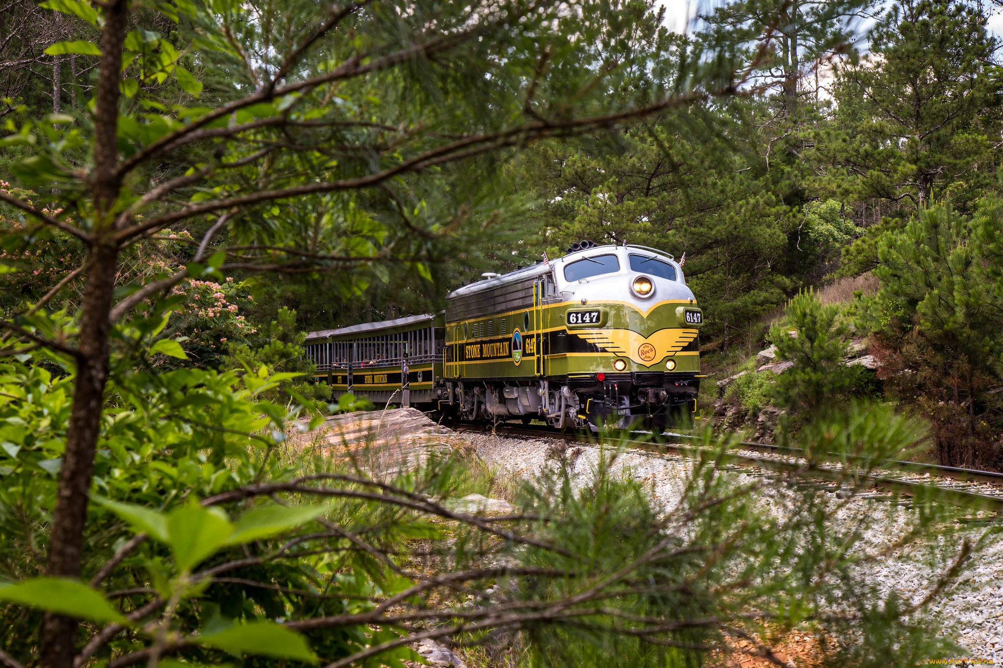 техника, поезда, локомотив, состав