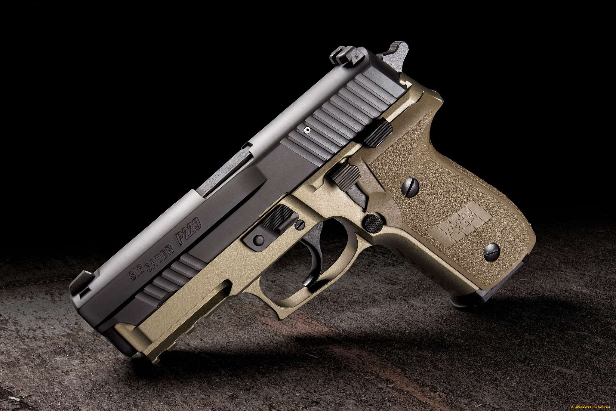 sig, sauer, p229, combat, оружие, пистолеты, ствол