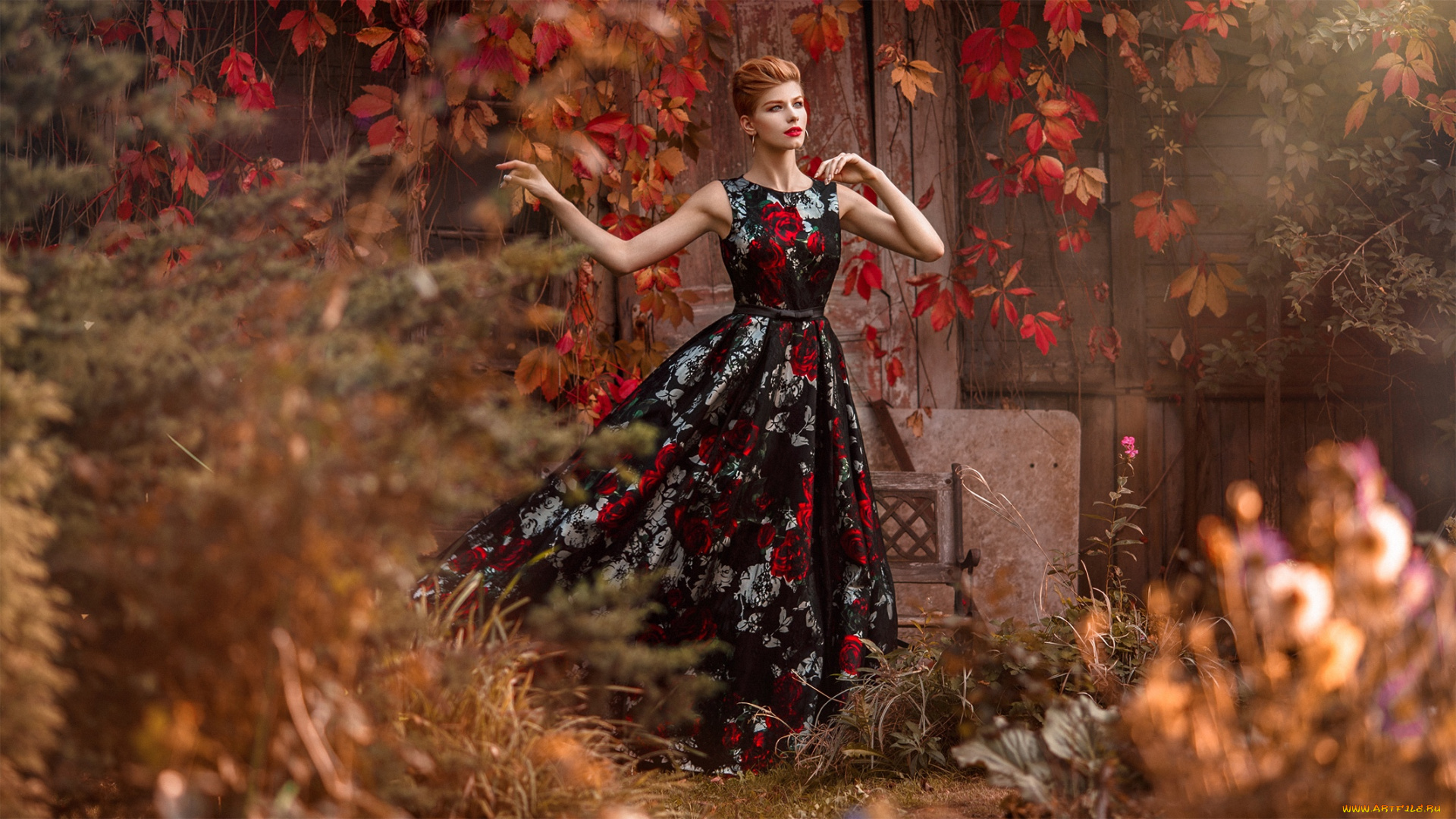 девушки, анастасия, жилина, анастасия, жилина