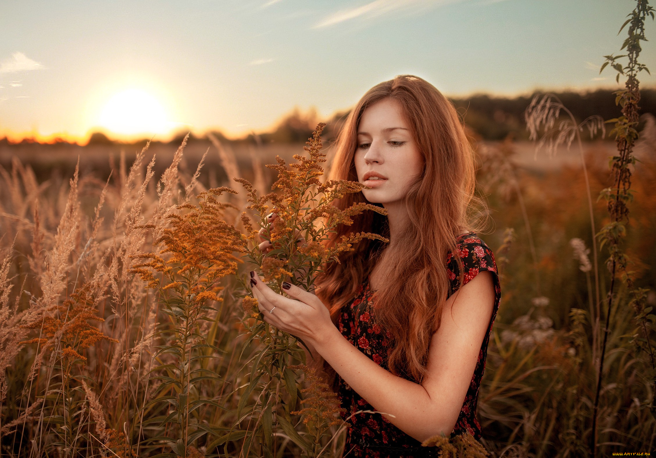 девушки, -, рыжеволосые, и, разноцветные, женщины, рыжие, растения, на, природе, маникюр, закат, дмитрий, бутвиловский, цветочное, платье