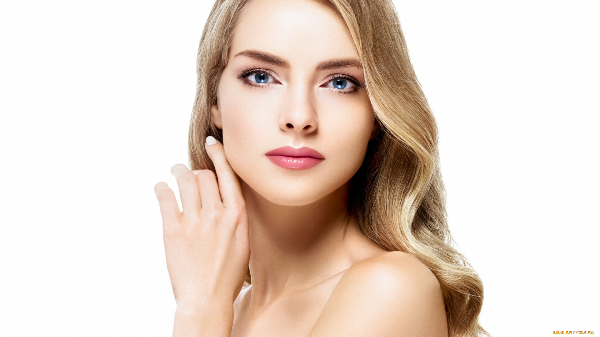 девушки, -, лица, , портреты, блондинка