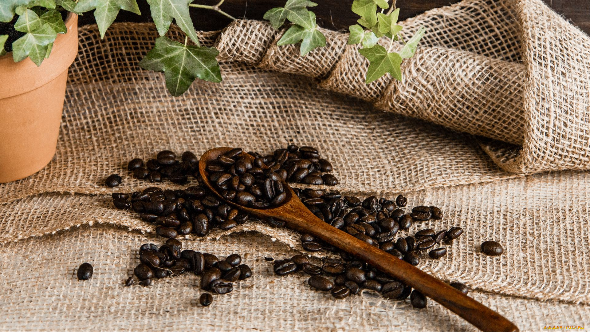 кофе, еда, , кофейные, зёрна, кофс, ложка, зерна