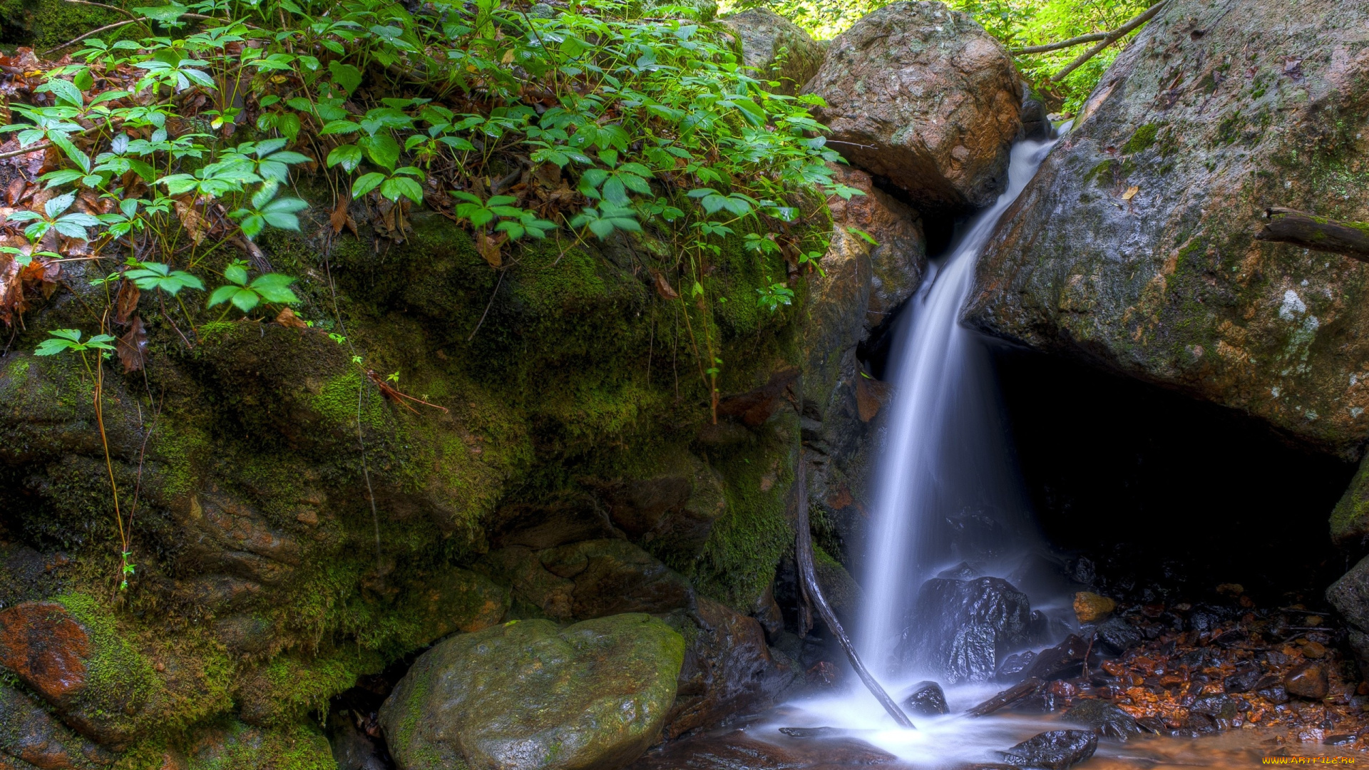 природа, водопады, водопад, камни, растения