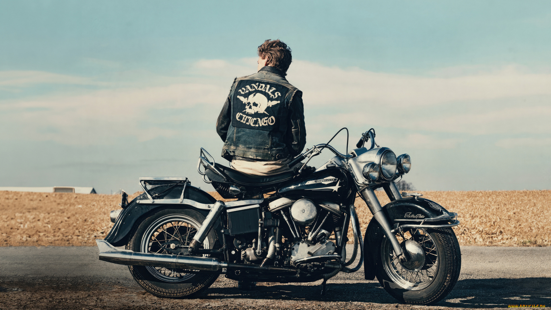 the, bikeriders, , , 2023, , кино, фильмы, -unknown, , другое, the, bikeriders, tom, hardy, драма, криминал, austin, butler